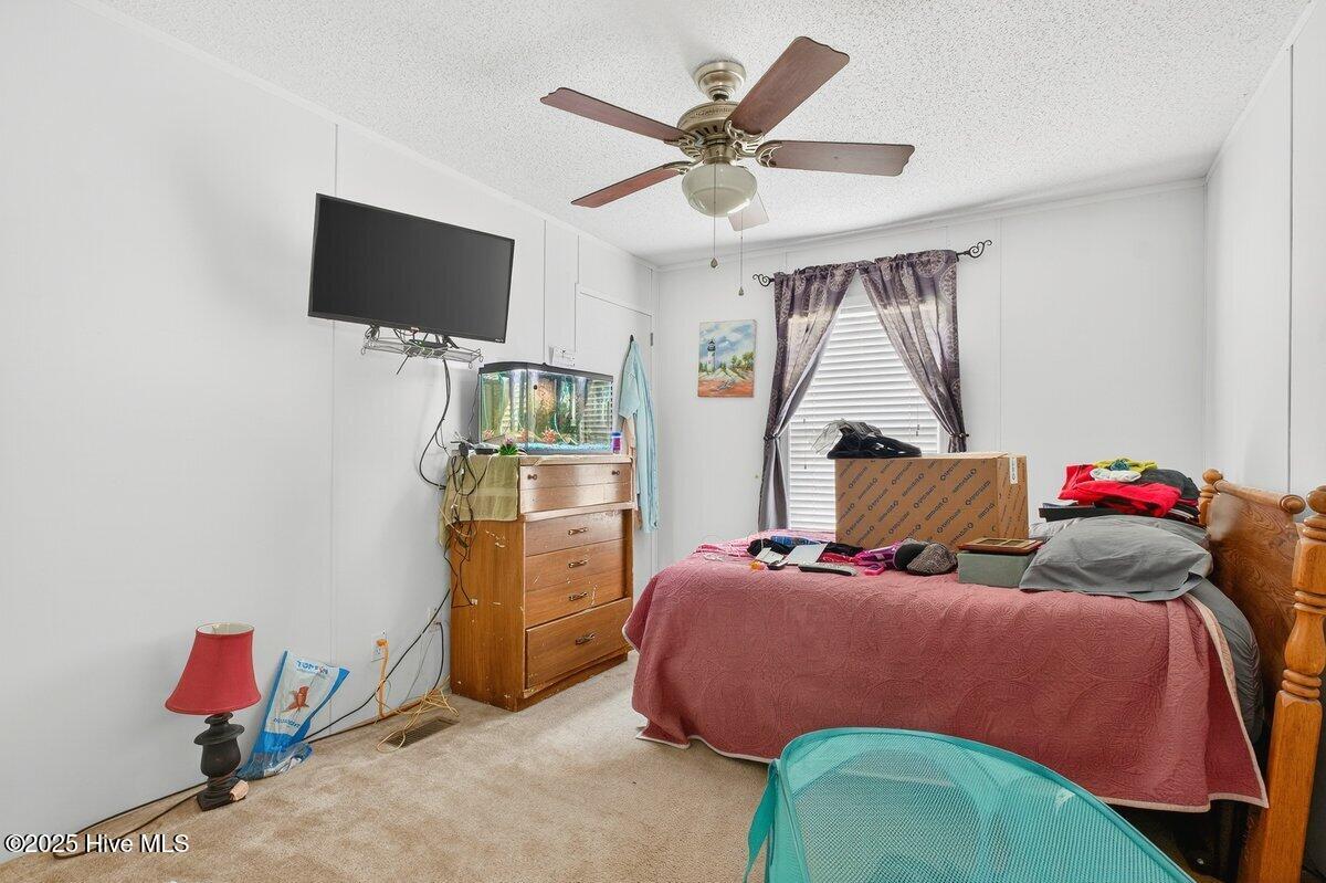 100523427 | Photo 14