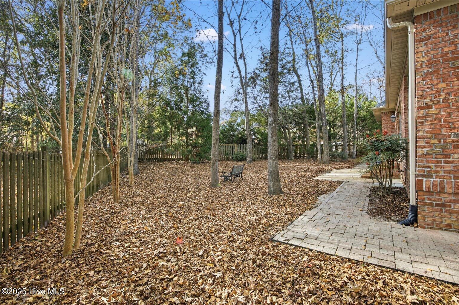 100543619 | Photo 38