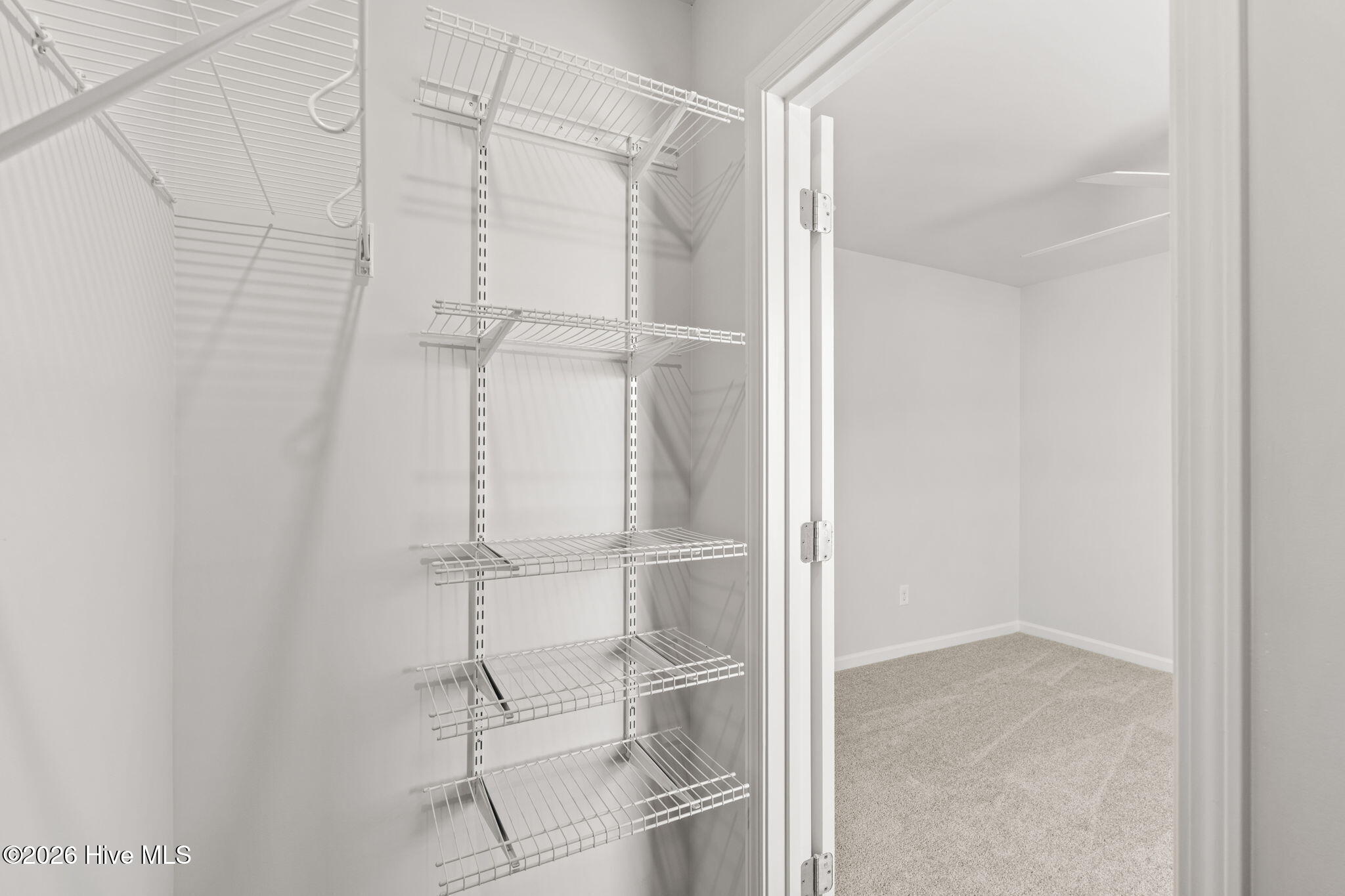 100567065 | Photo 29