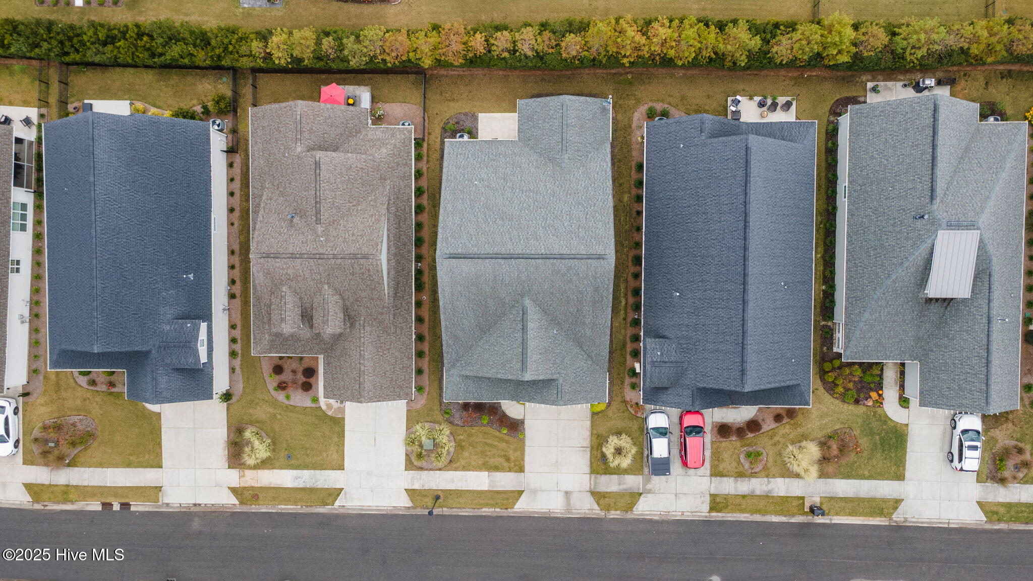 100541268 | Photo 48