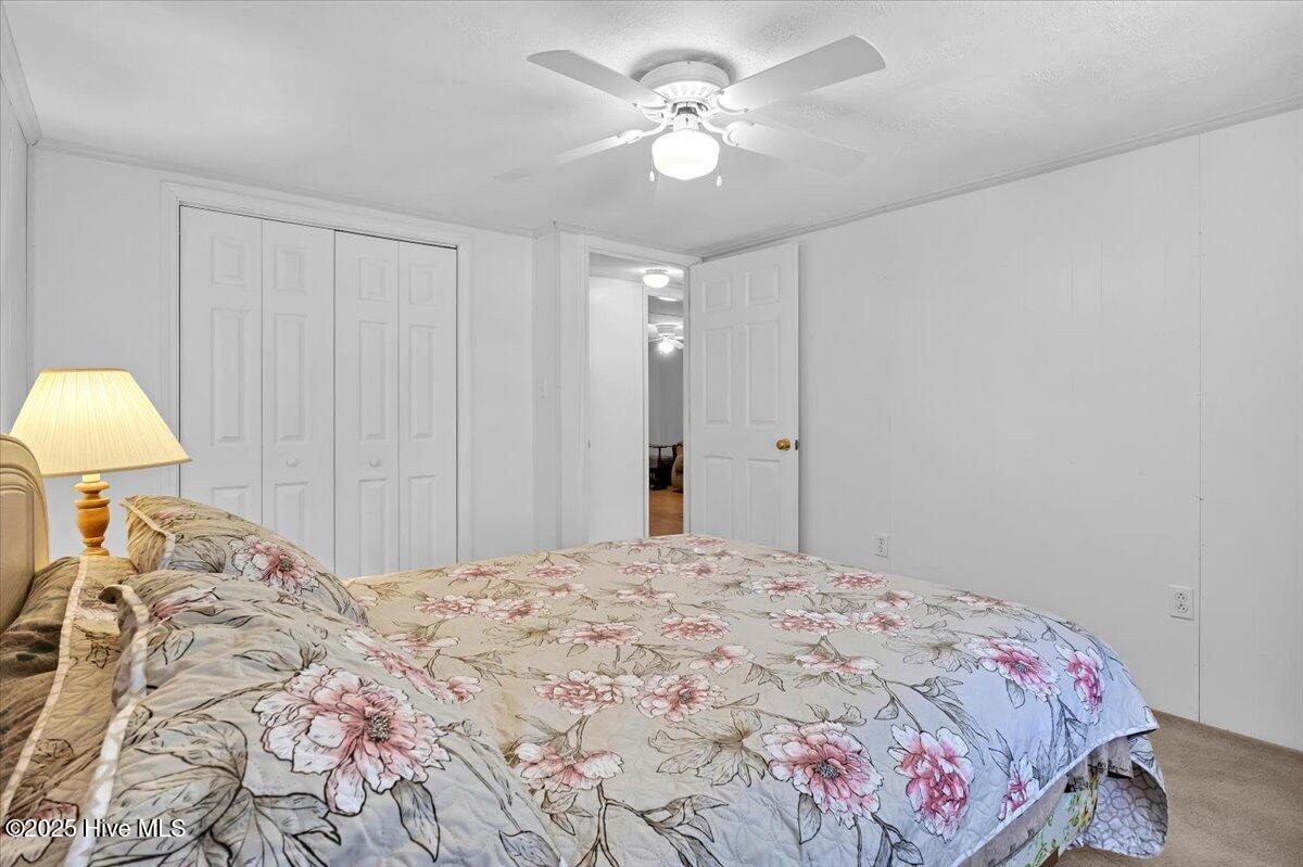 100518805 | Photo 23