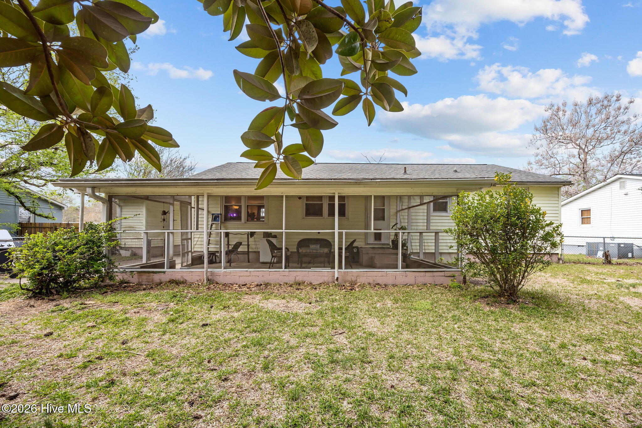 100563100 | Photo 23