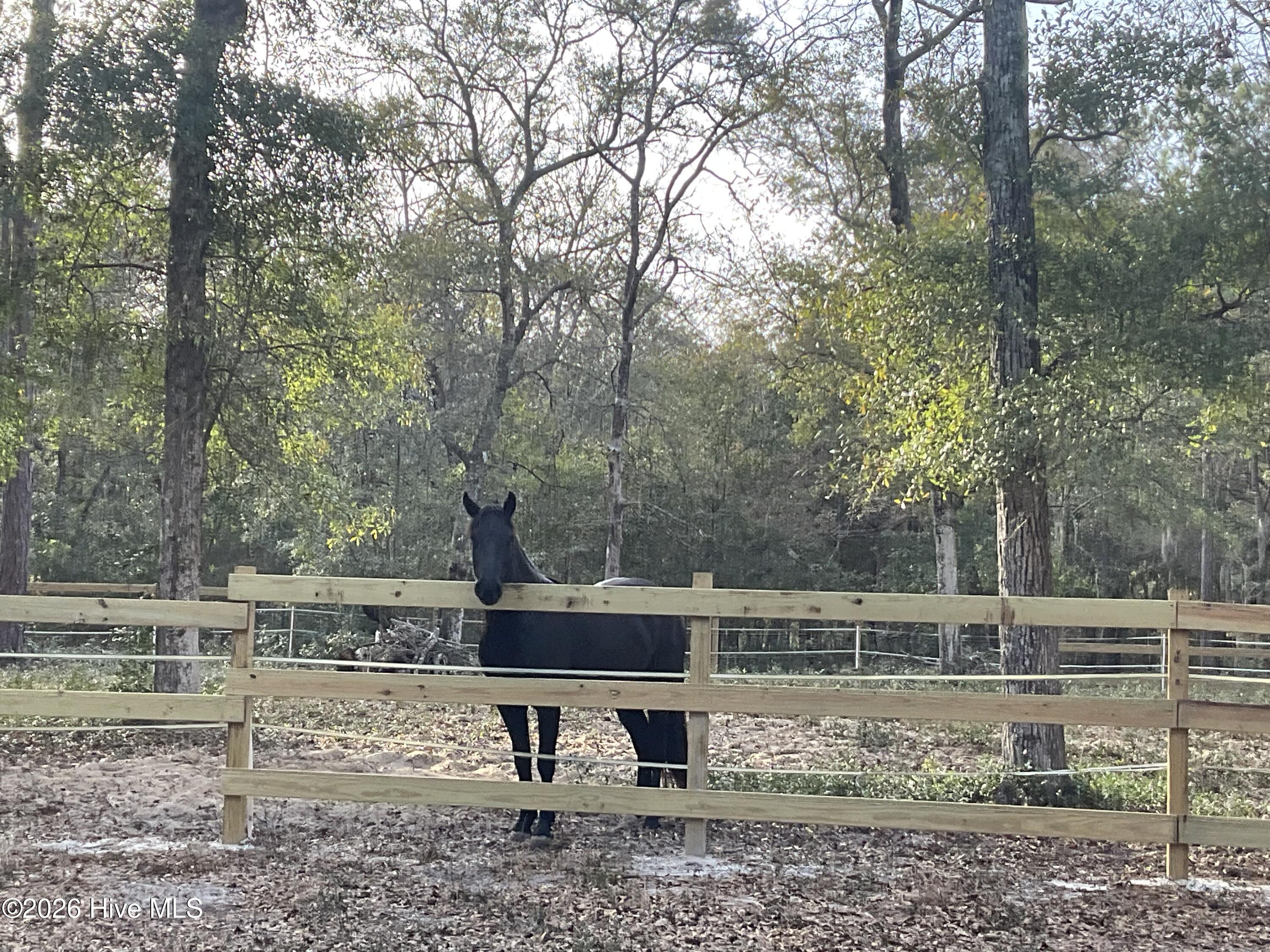 100547303 | Photo 59