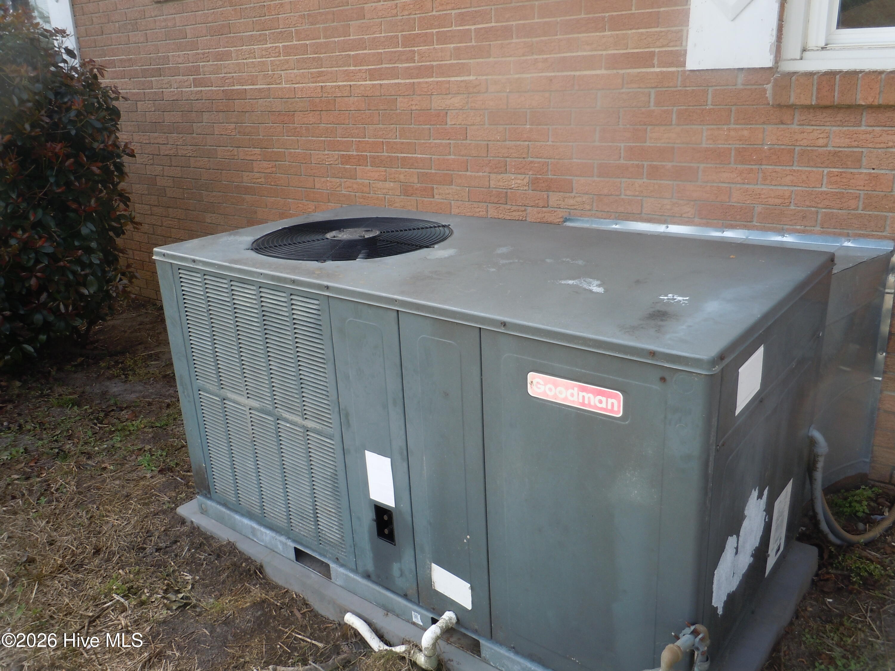 100565752 | Photo 70