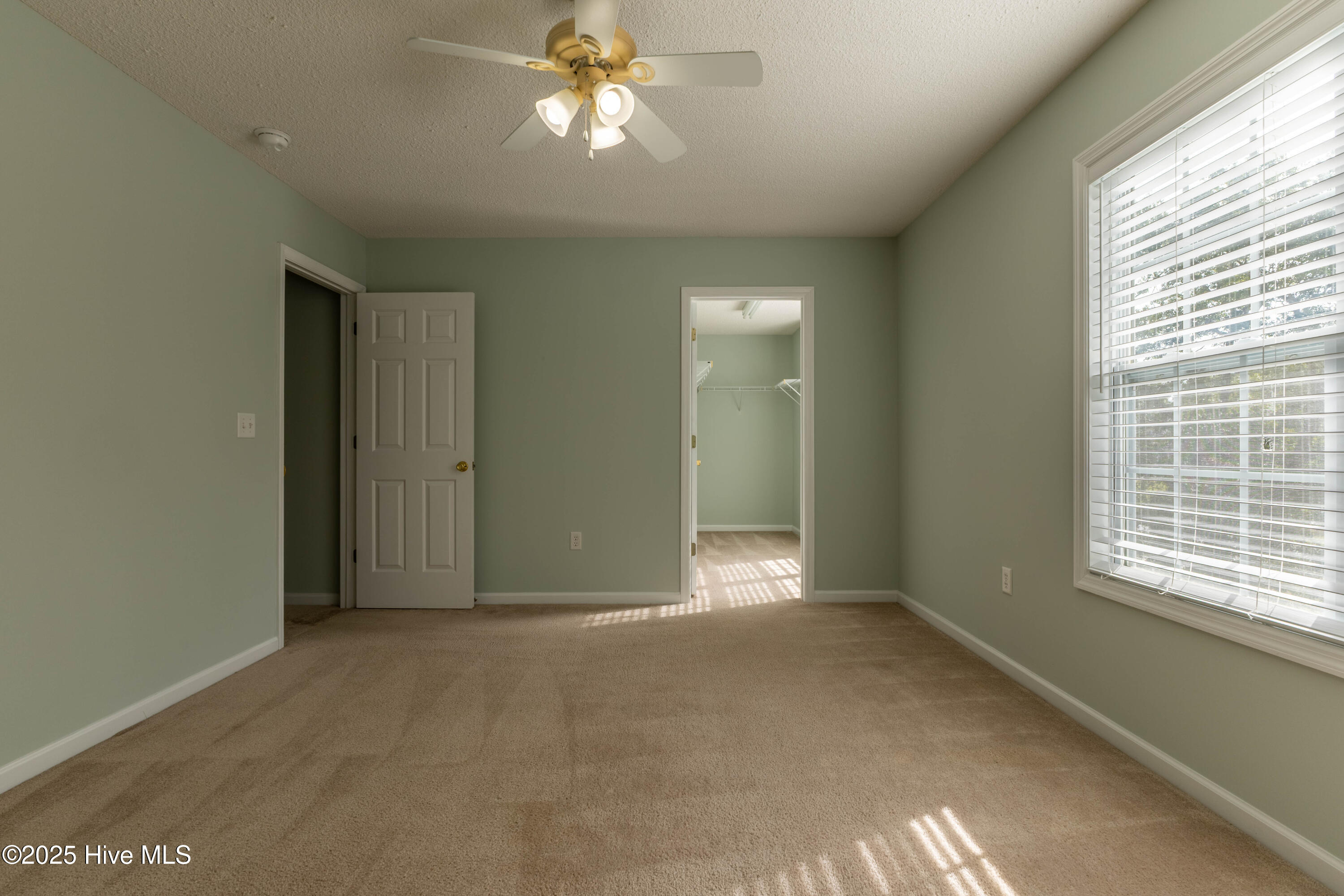 100534088 | Photo 32