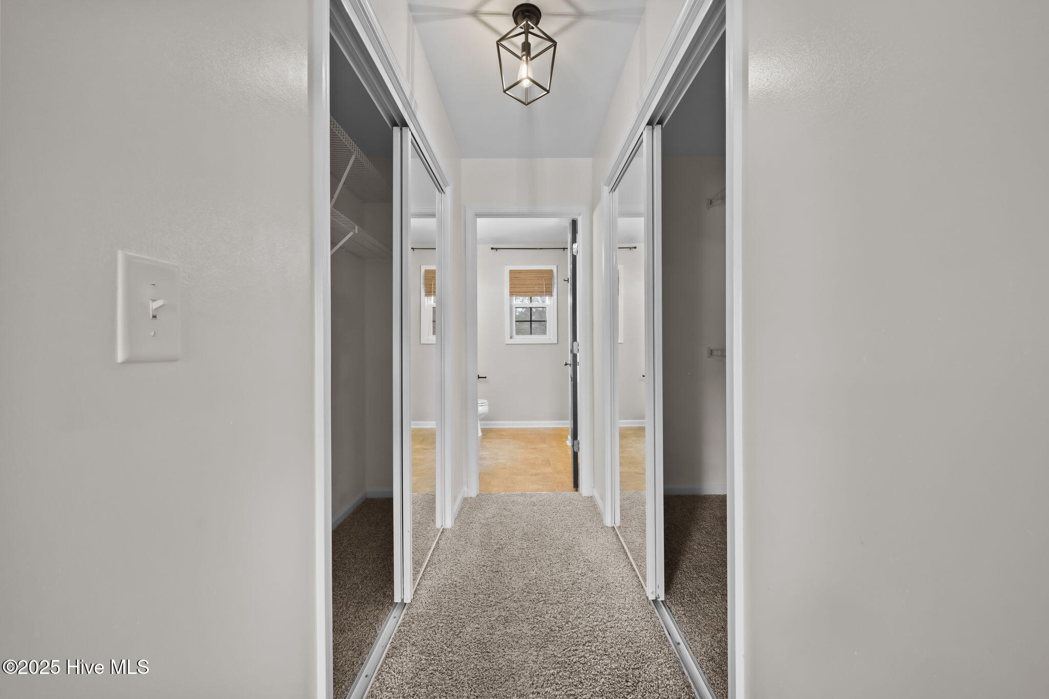 101 Loyd Lane, Beulaville, NC 28518 – photo 21: Primary Closet