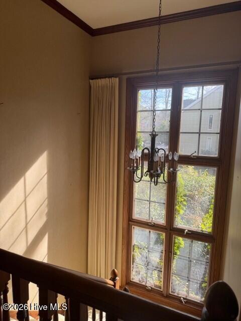 100551549 | Photo 26