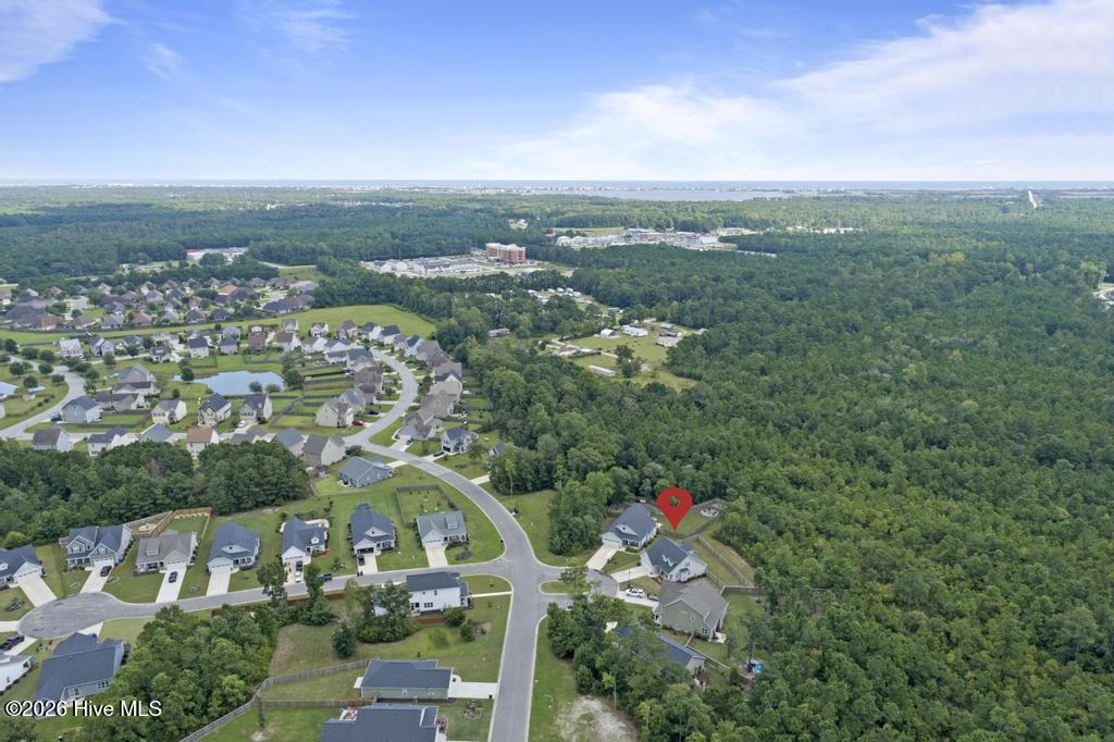 100553850 | Photo 34