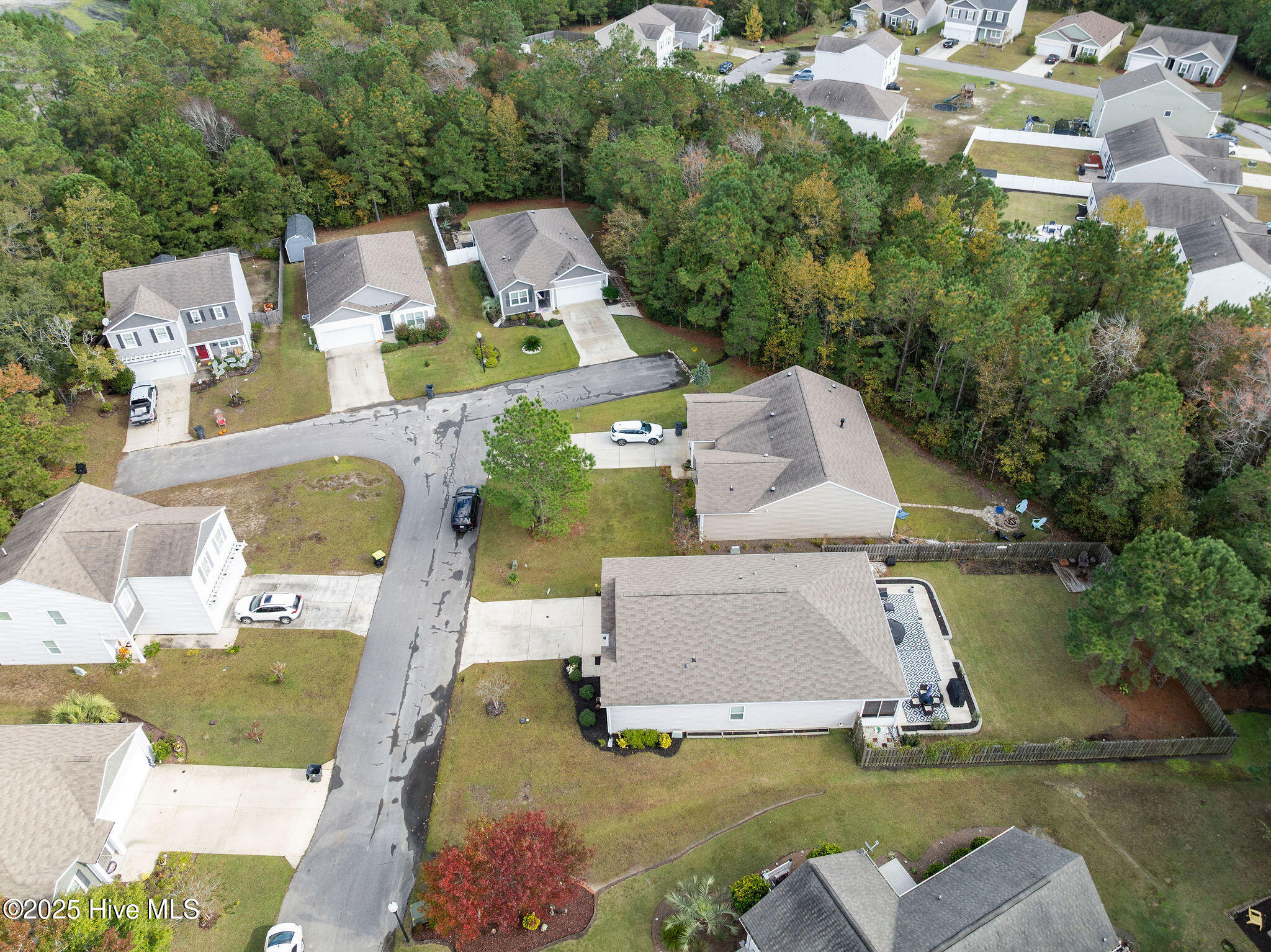 100539651 | Photo 52