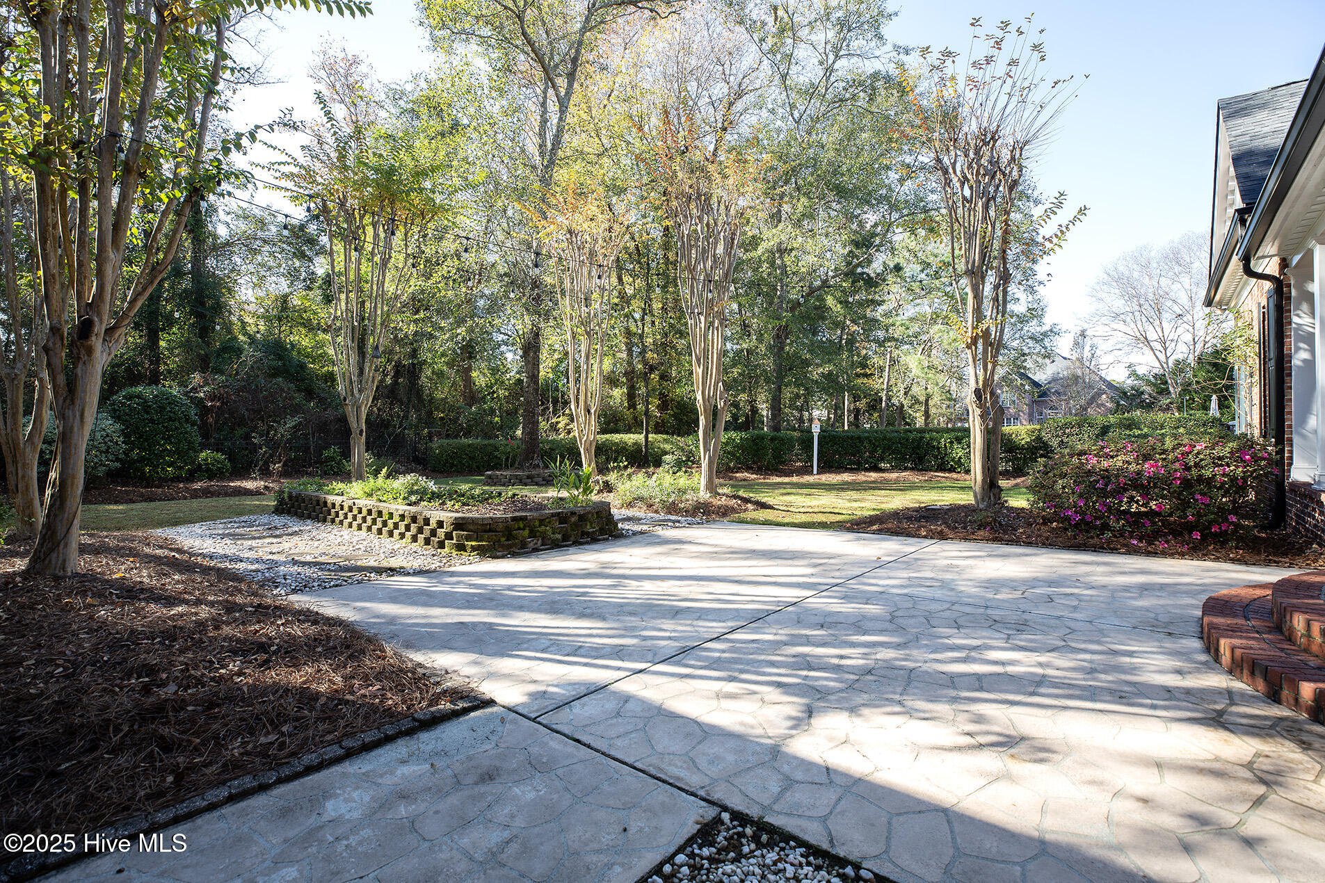 100545737 | Photo 81