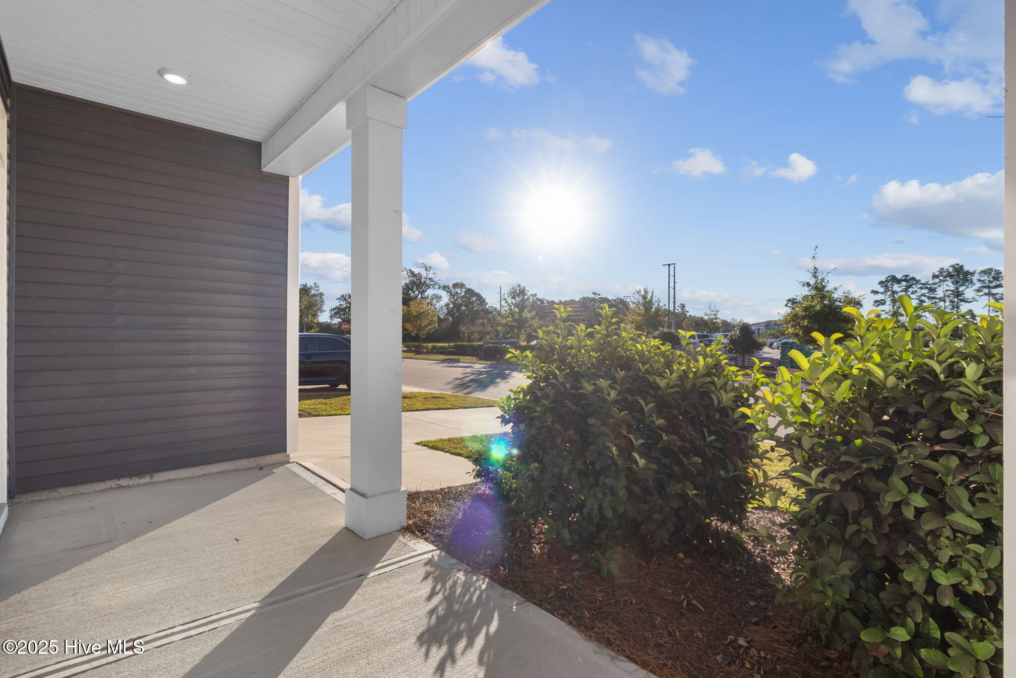 100538168 | Photo 41