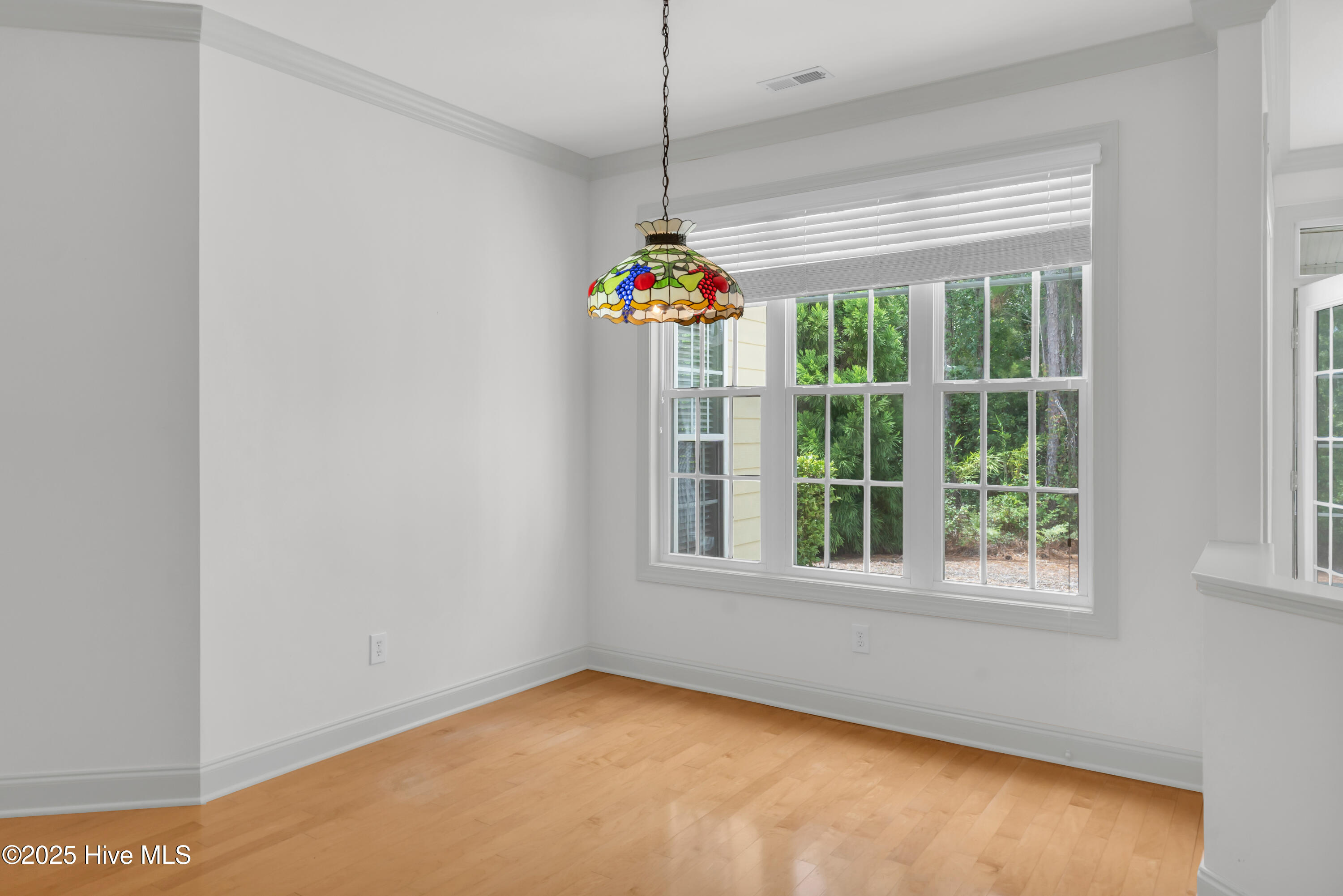 100523896 | Photo 15