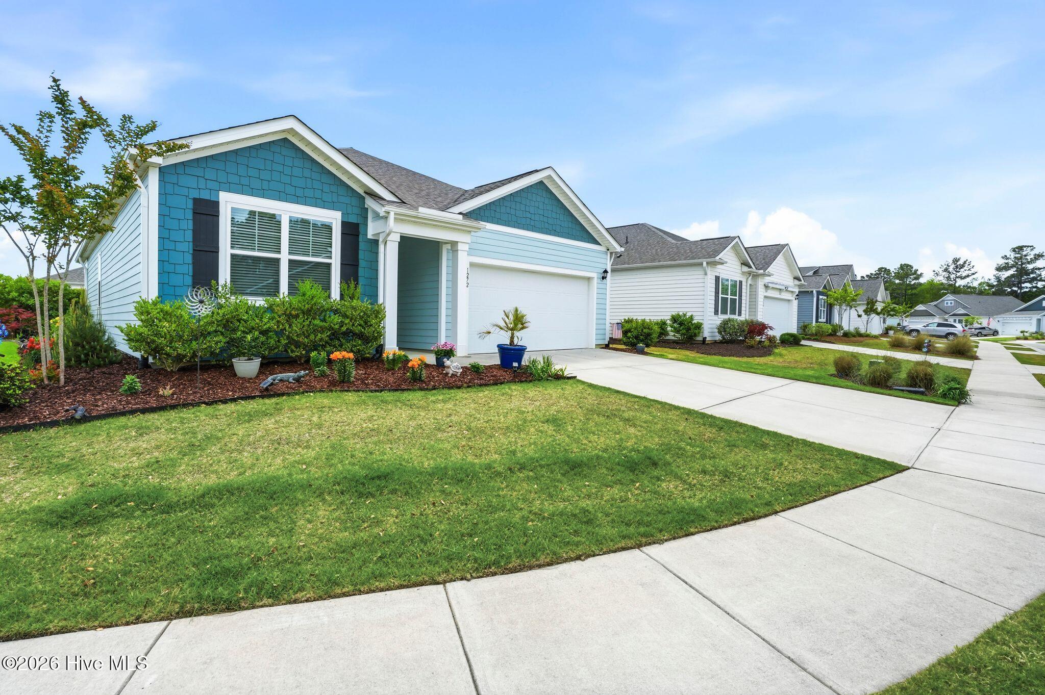 100531826 | Photo 101