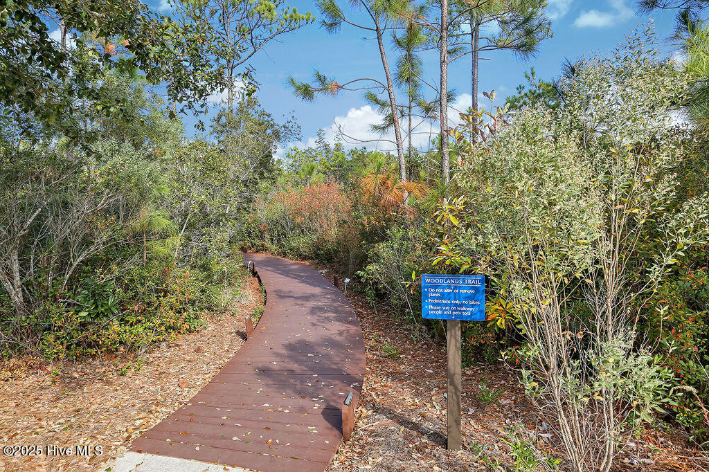 100554585 | Photo 122