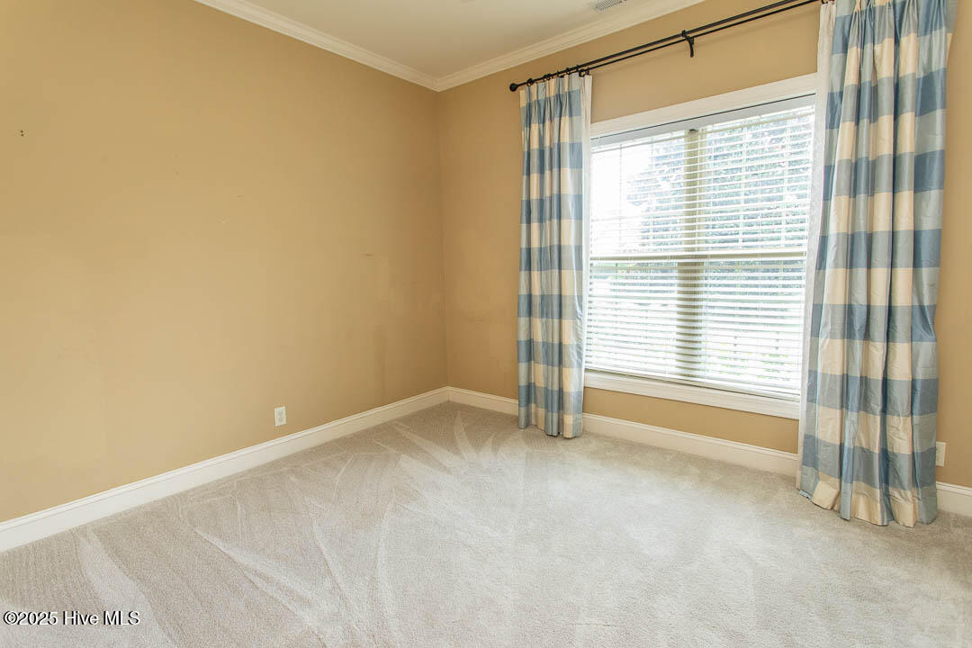 100526043 | Photo 32