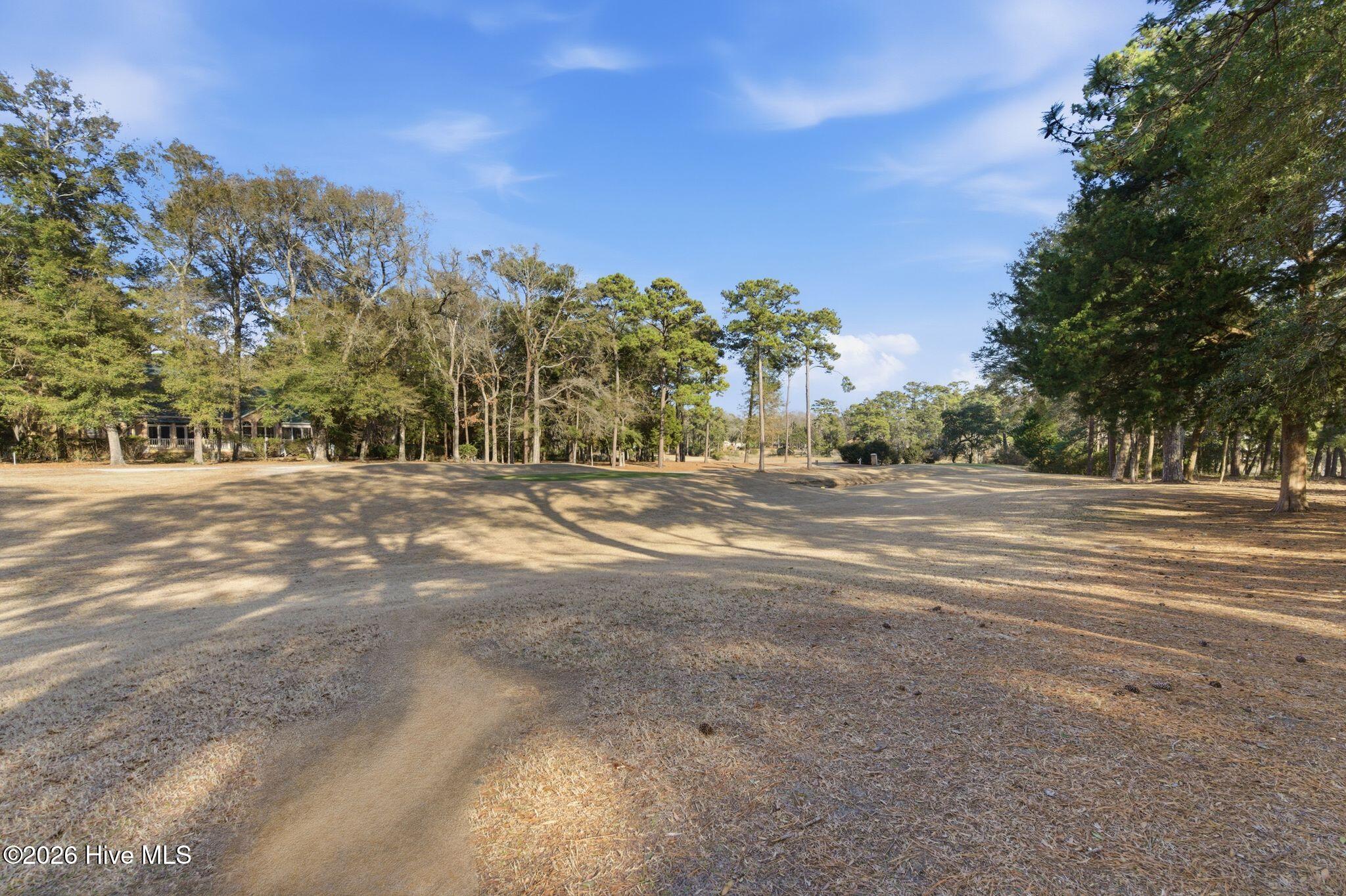 100555481 | Photo 64