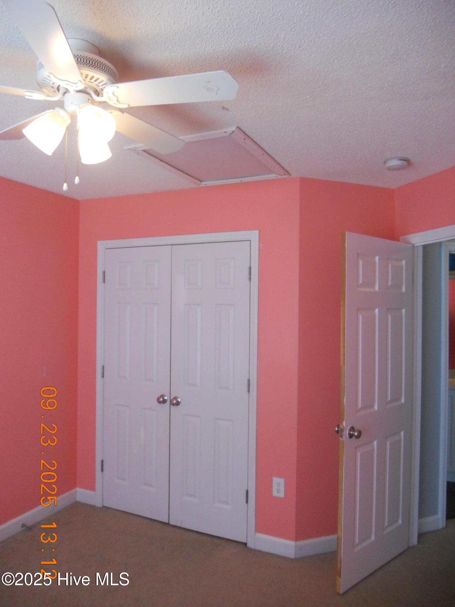 100532351 | Photo 40