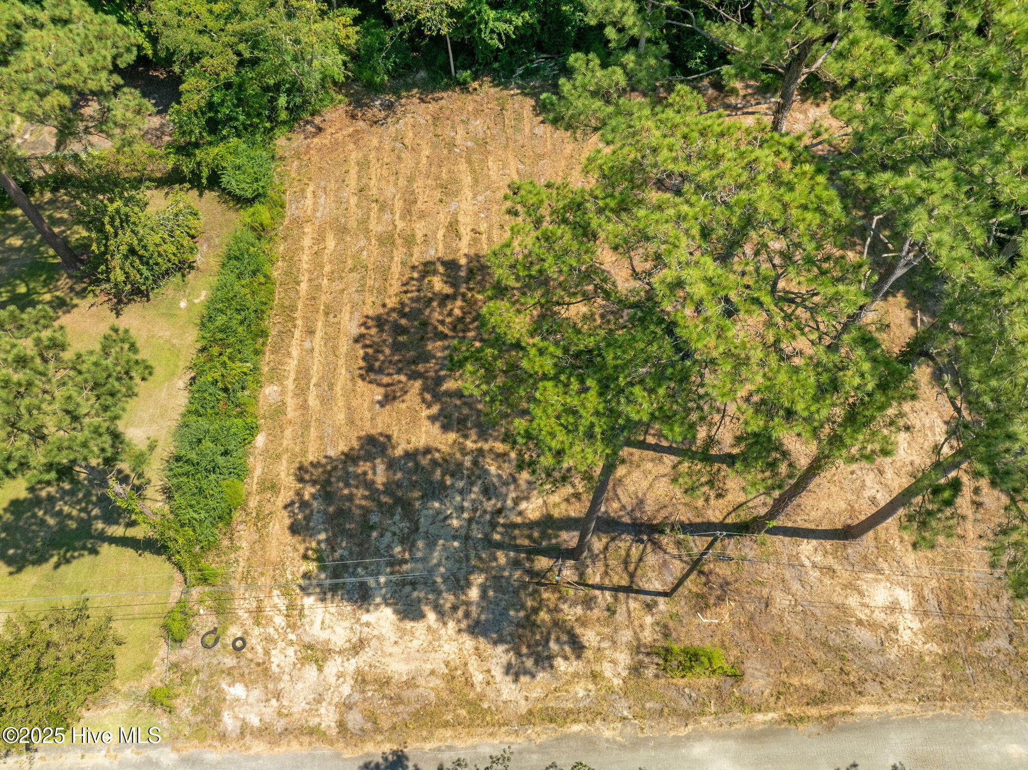 100546344 | Photo 16