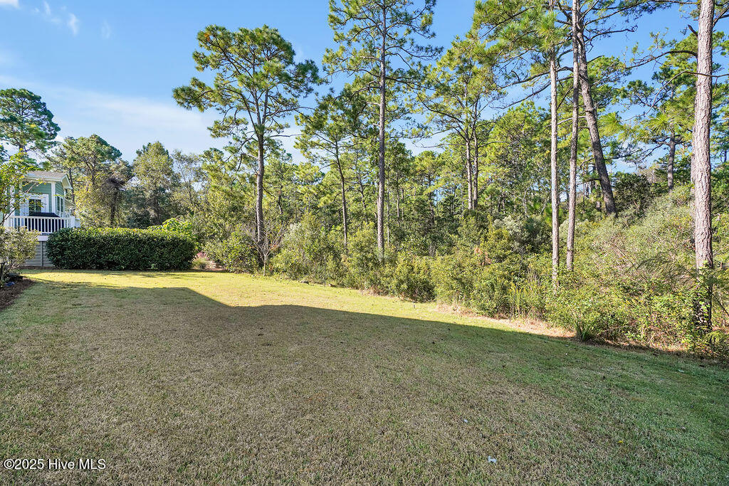 100537536 | Photo 49