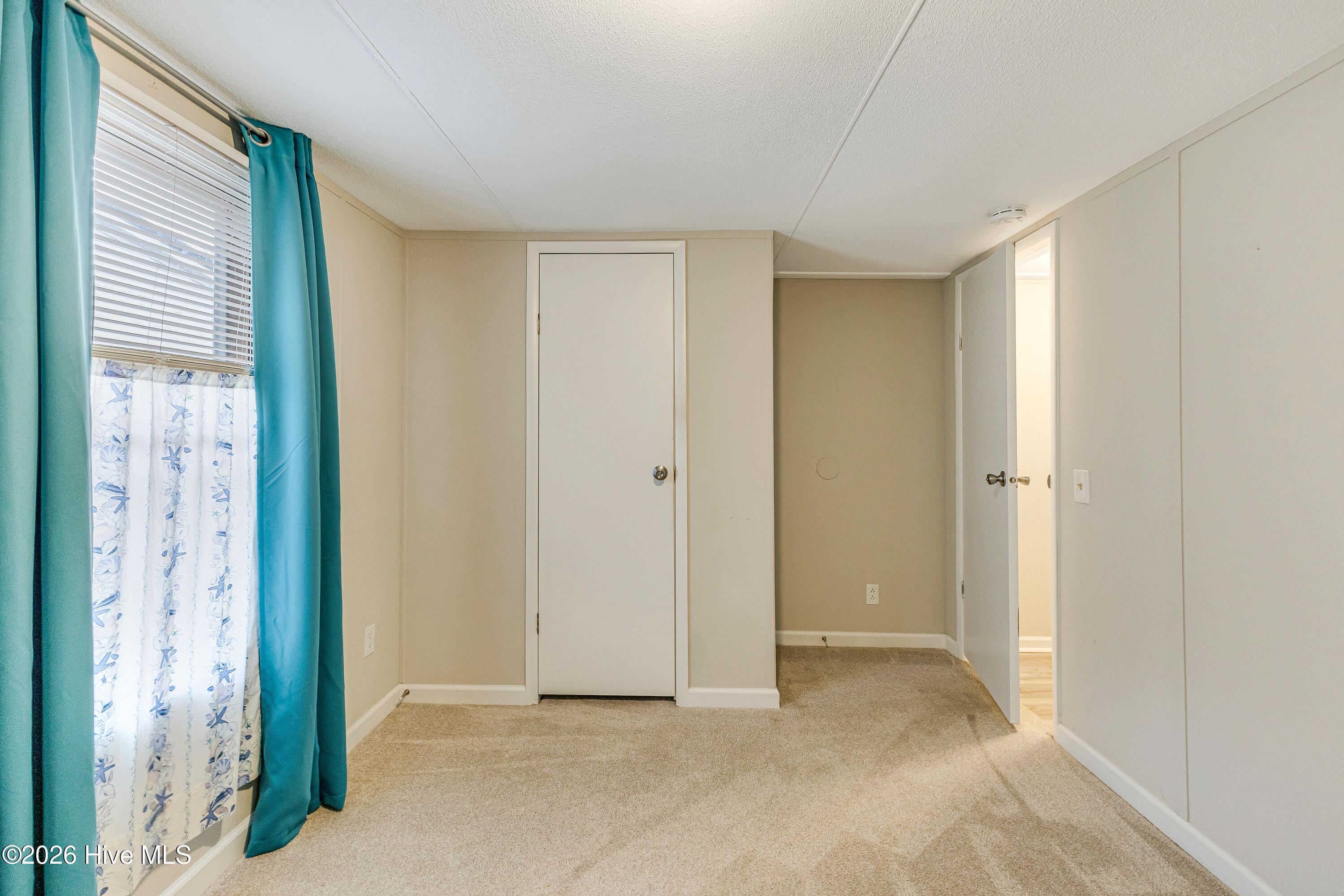 100557836 | Photo 17