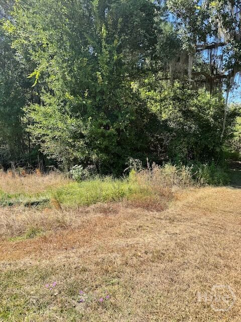 0 Hwy 17 S, Richmond Hill, GA, 31324