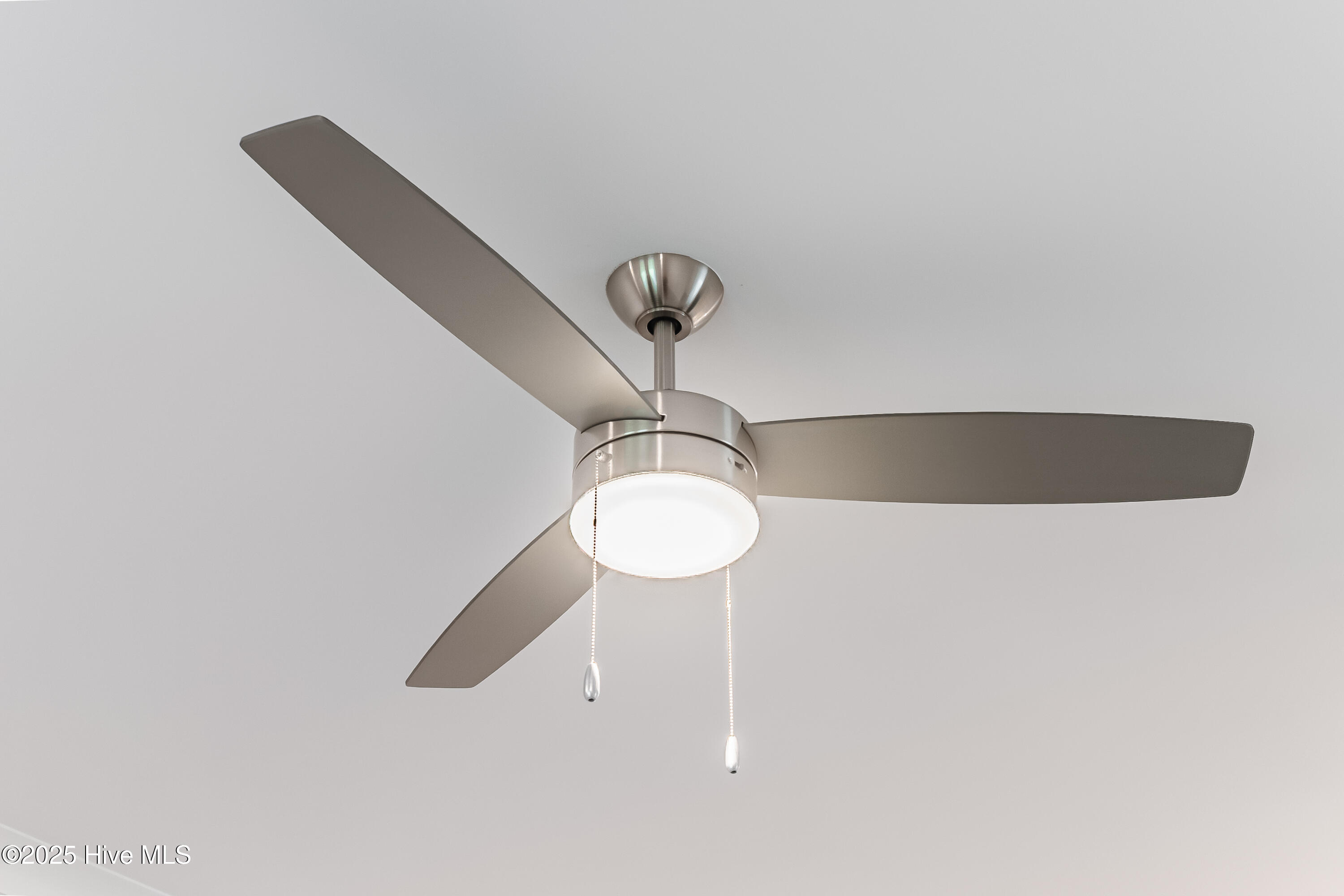 100529358 | Photo 16