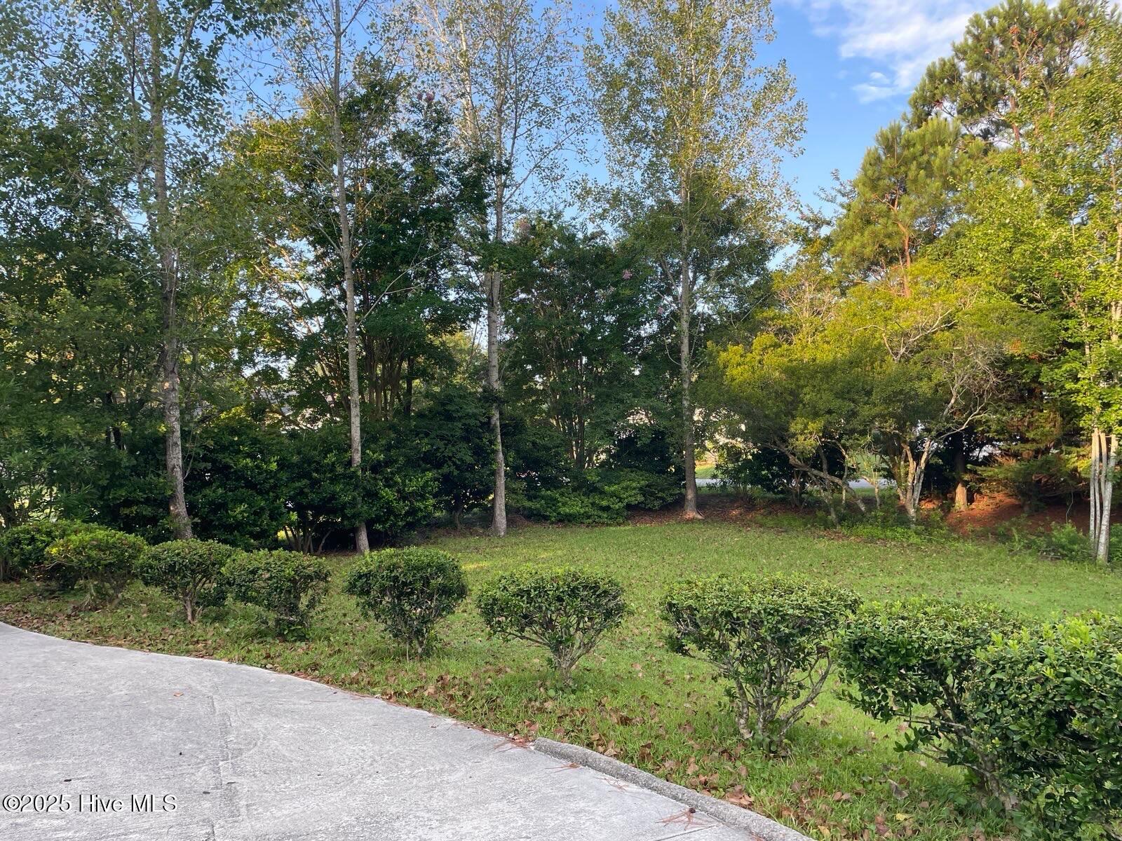 100554866 | Photo 55