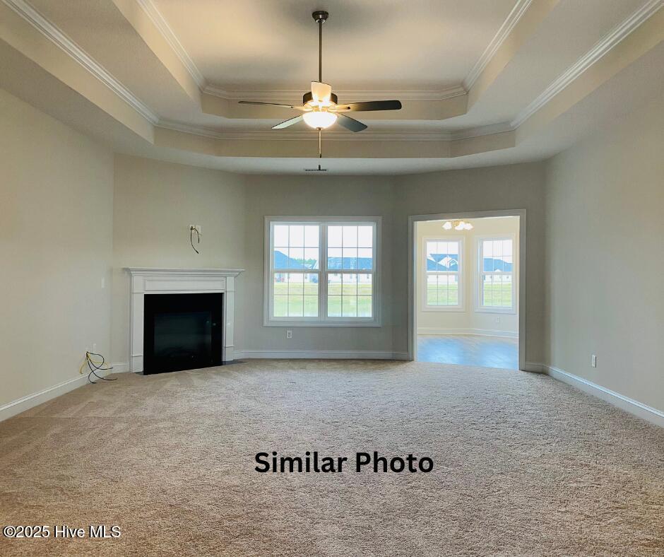 Raegan w bonus Similar 20