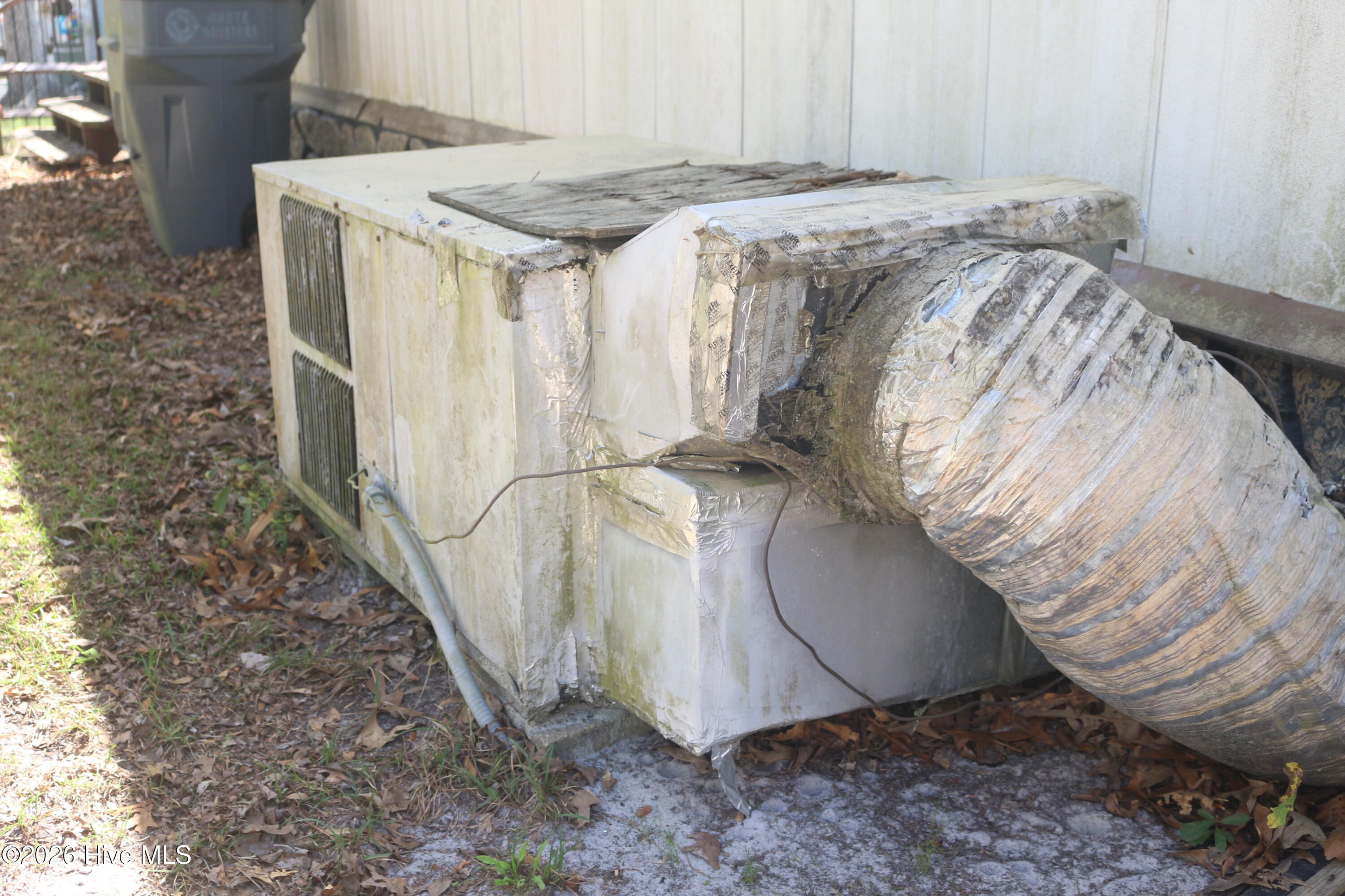 100565250 | Photo 15