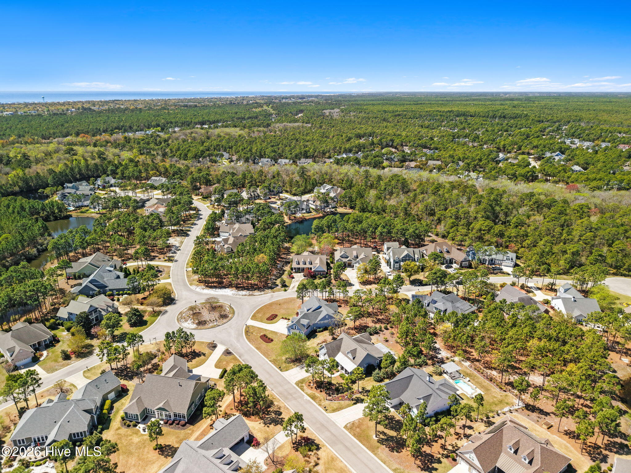 100564943 | Photo 56