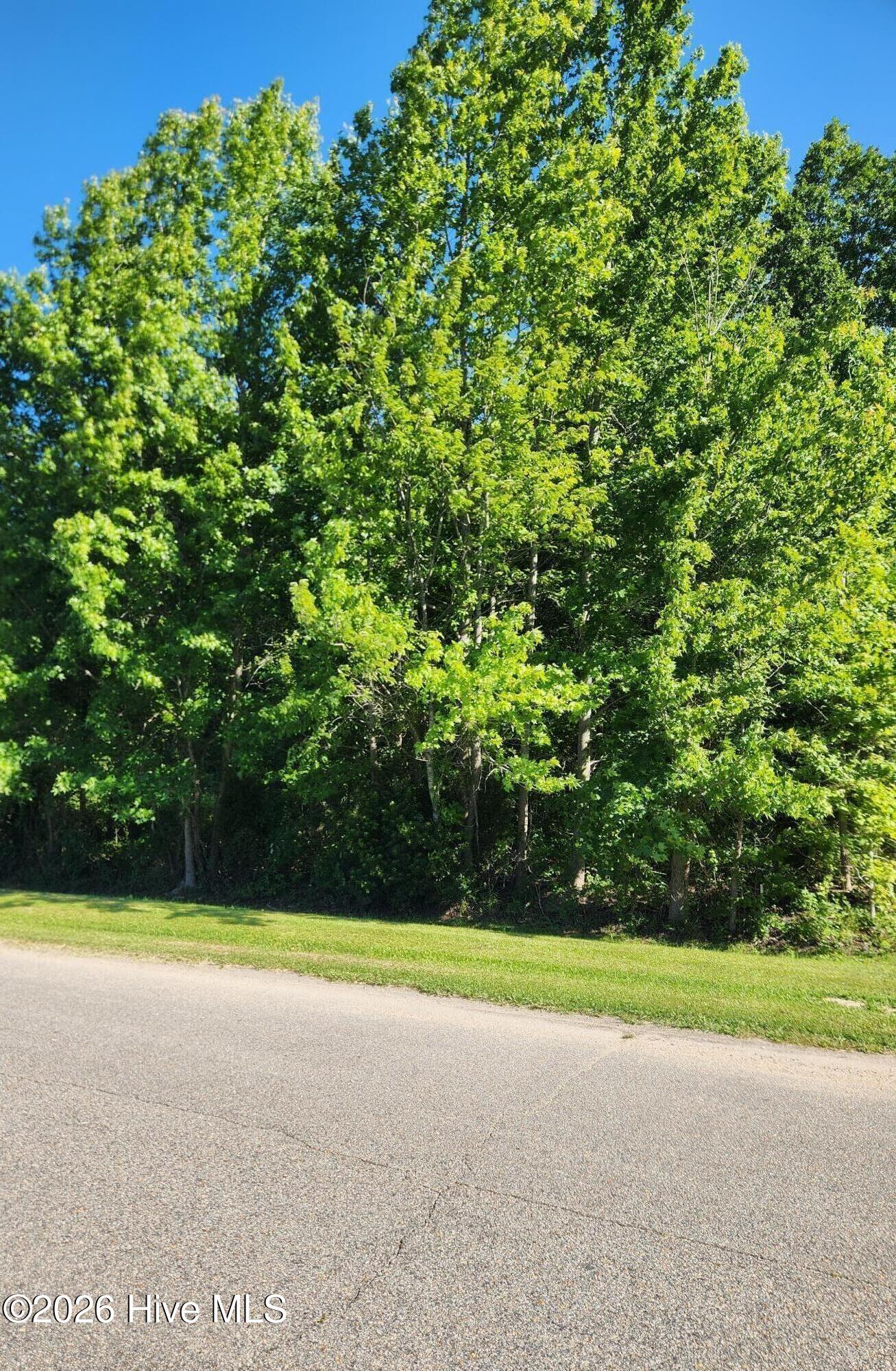 32 Treasure Point, Bath, North Carolina, 0 ,Residential Lot,For sale,Treasure Point,100581242 32 Treasure Point, Bath, North Carolina, 0 ,Residential Lot,For sale,Treasure Point,100581242