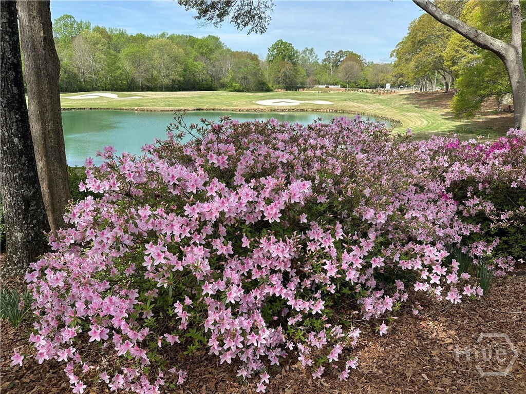 711 Bluff Road, Statham, GA, 30666