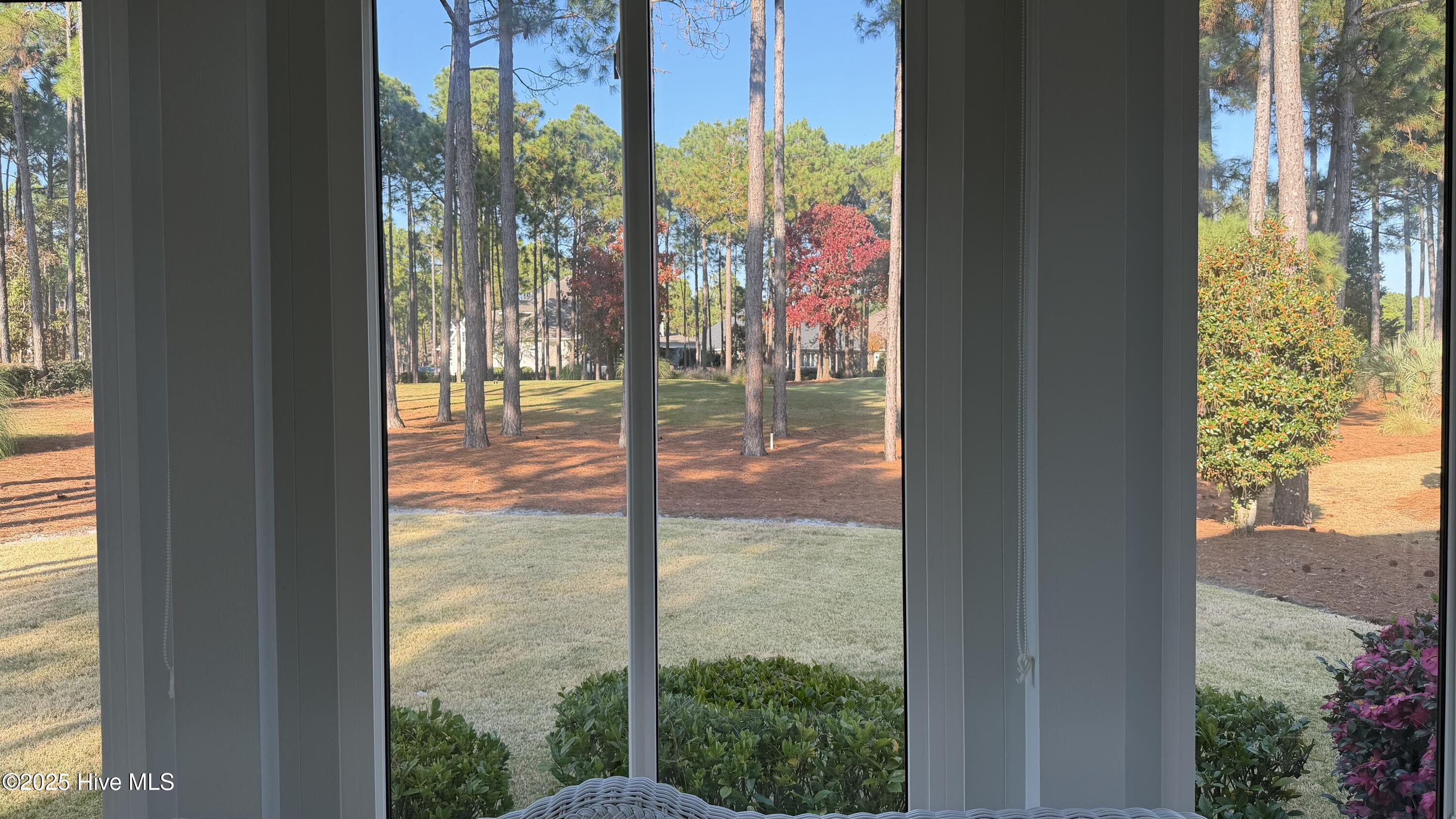 100526720 | Photo 38