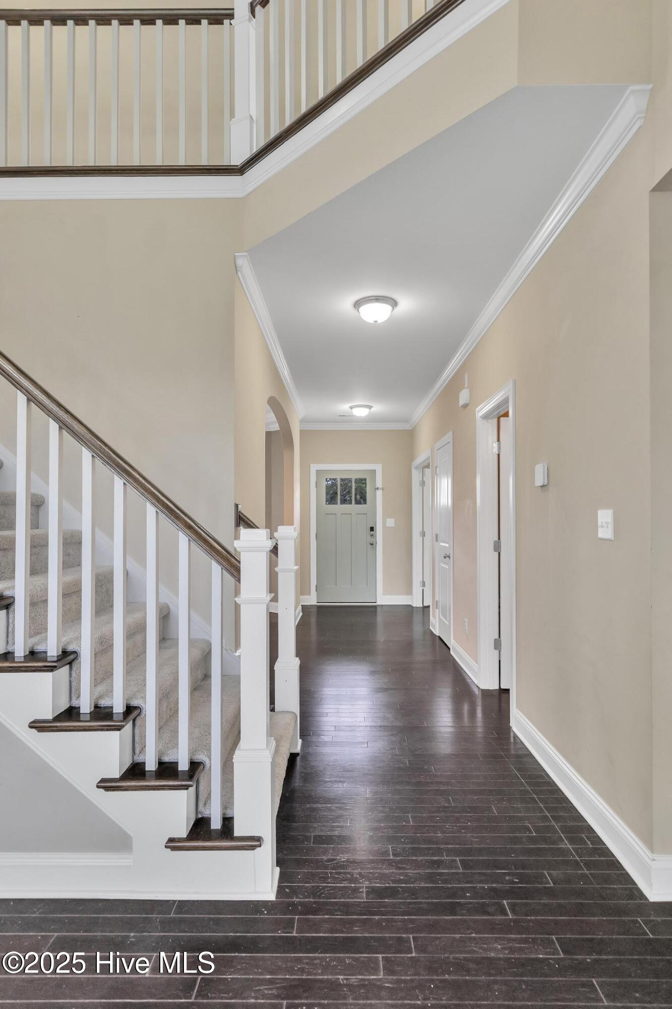 100531239 | Photo 14