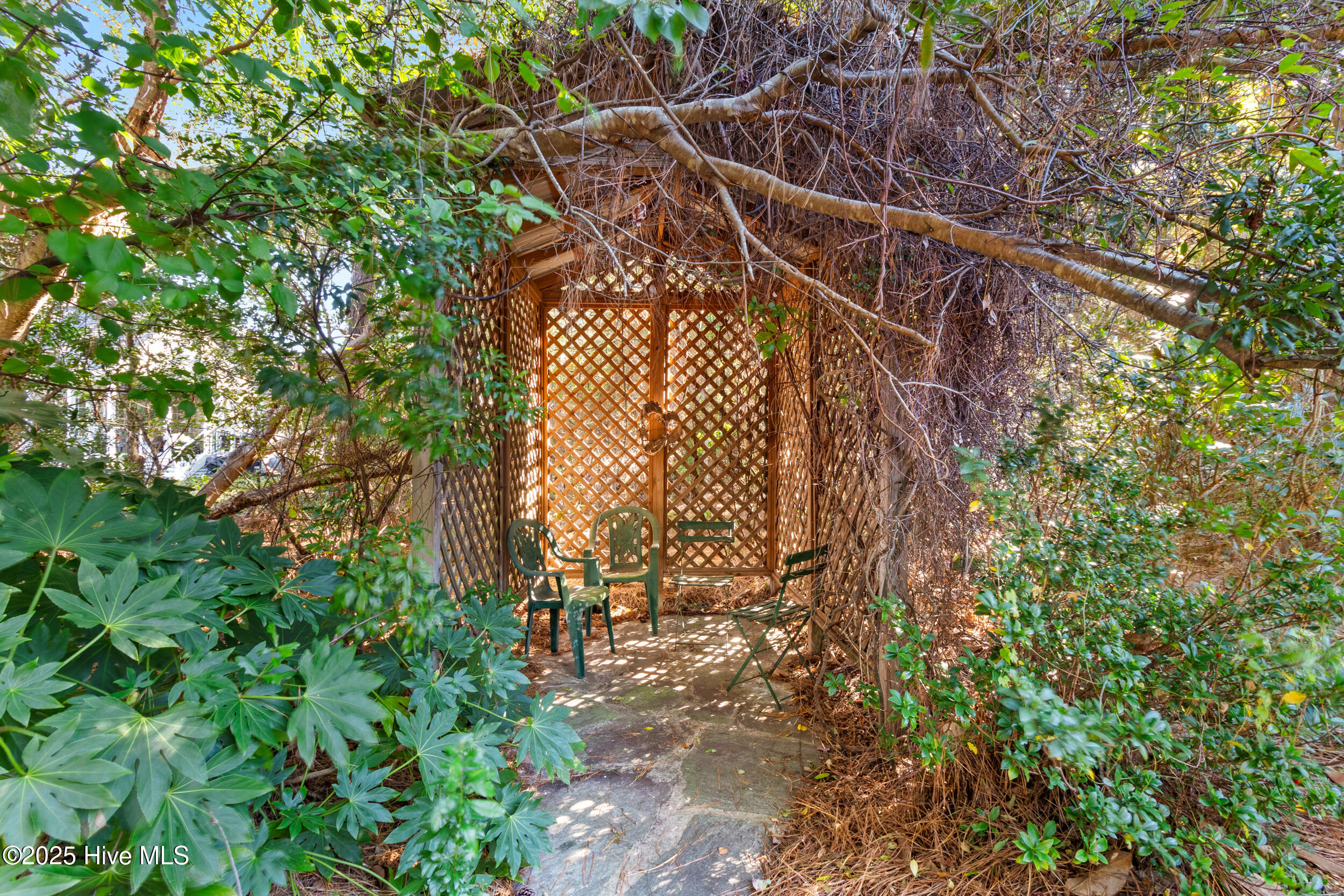 100539143 | Photo 36