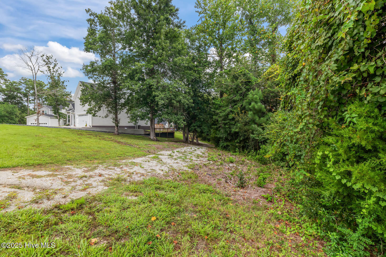 100544097 | Photo 68