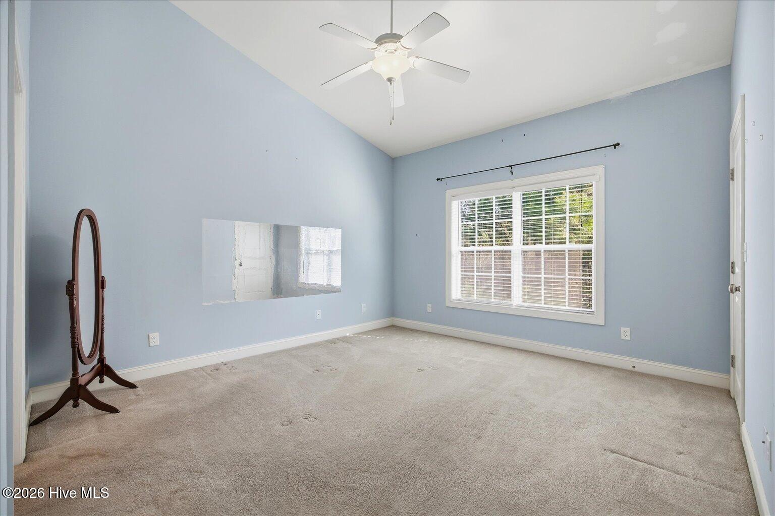 100563143 | Photo 10