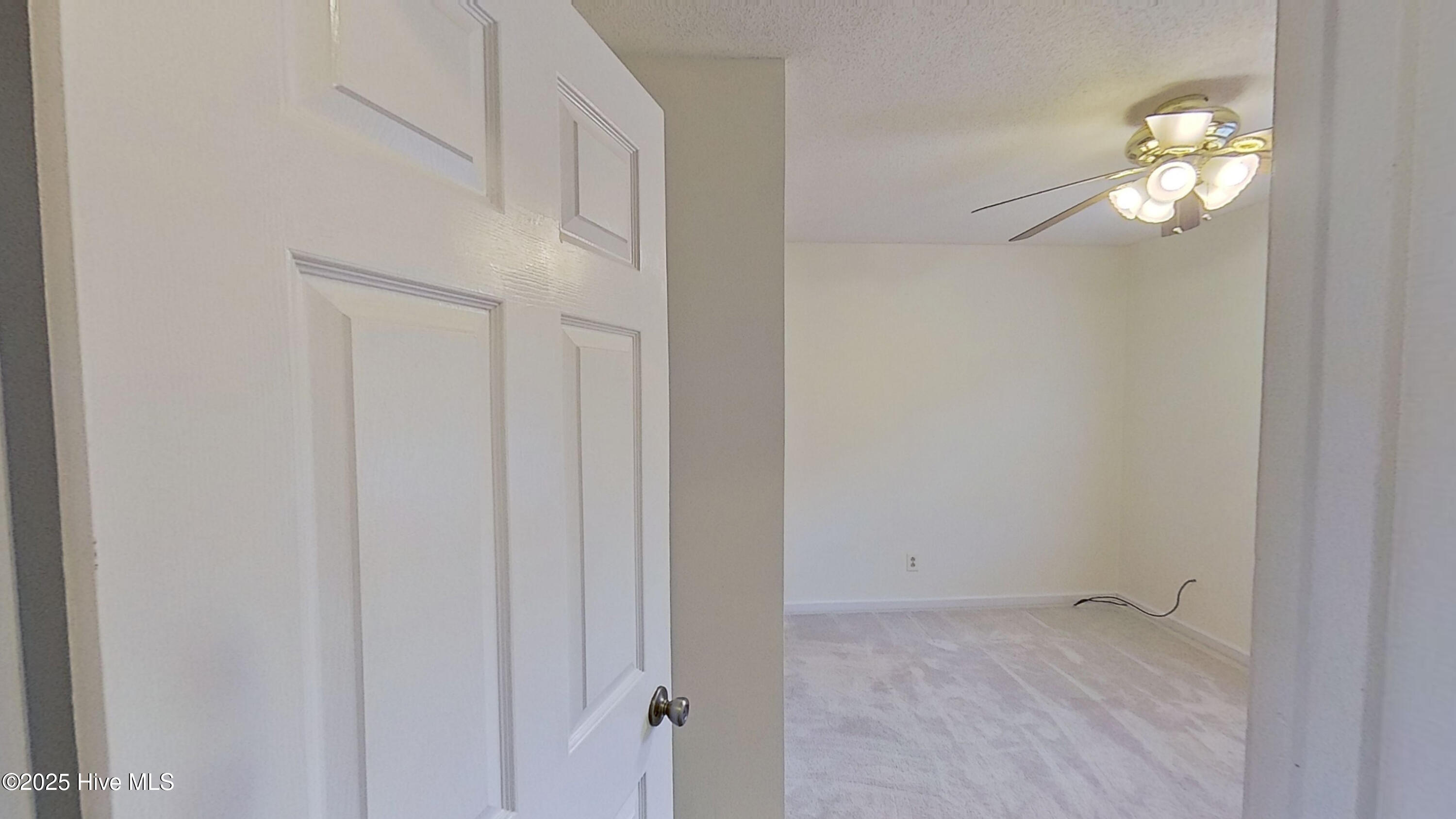 100543059 | Photo 13