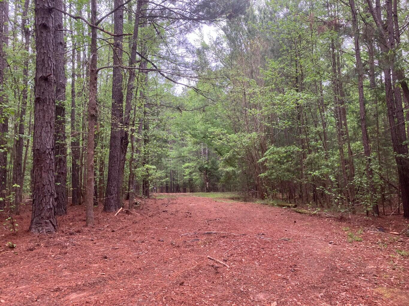 0 Gales Road, Appling, GA, 30802