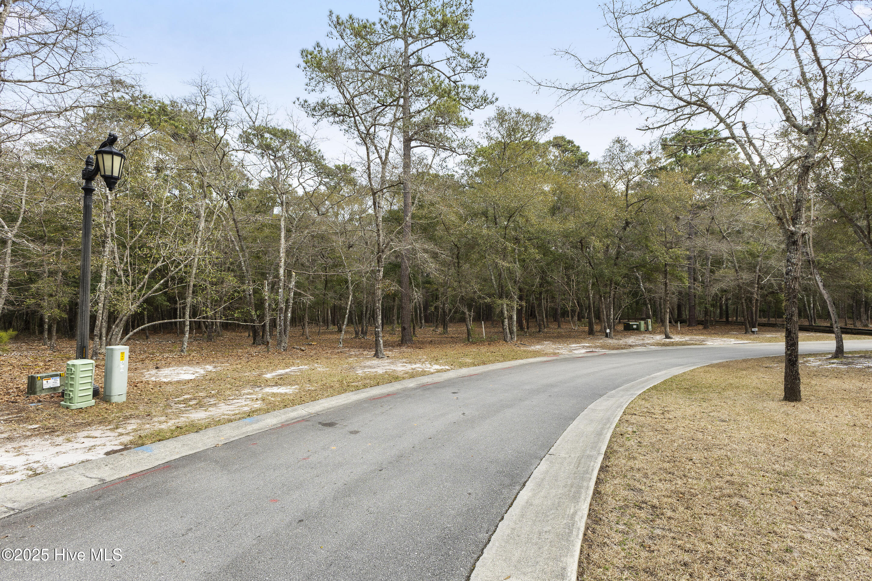 100495133 | Photo 17