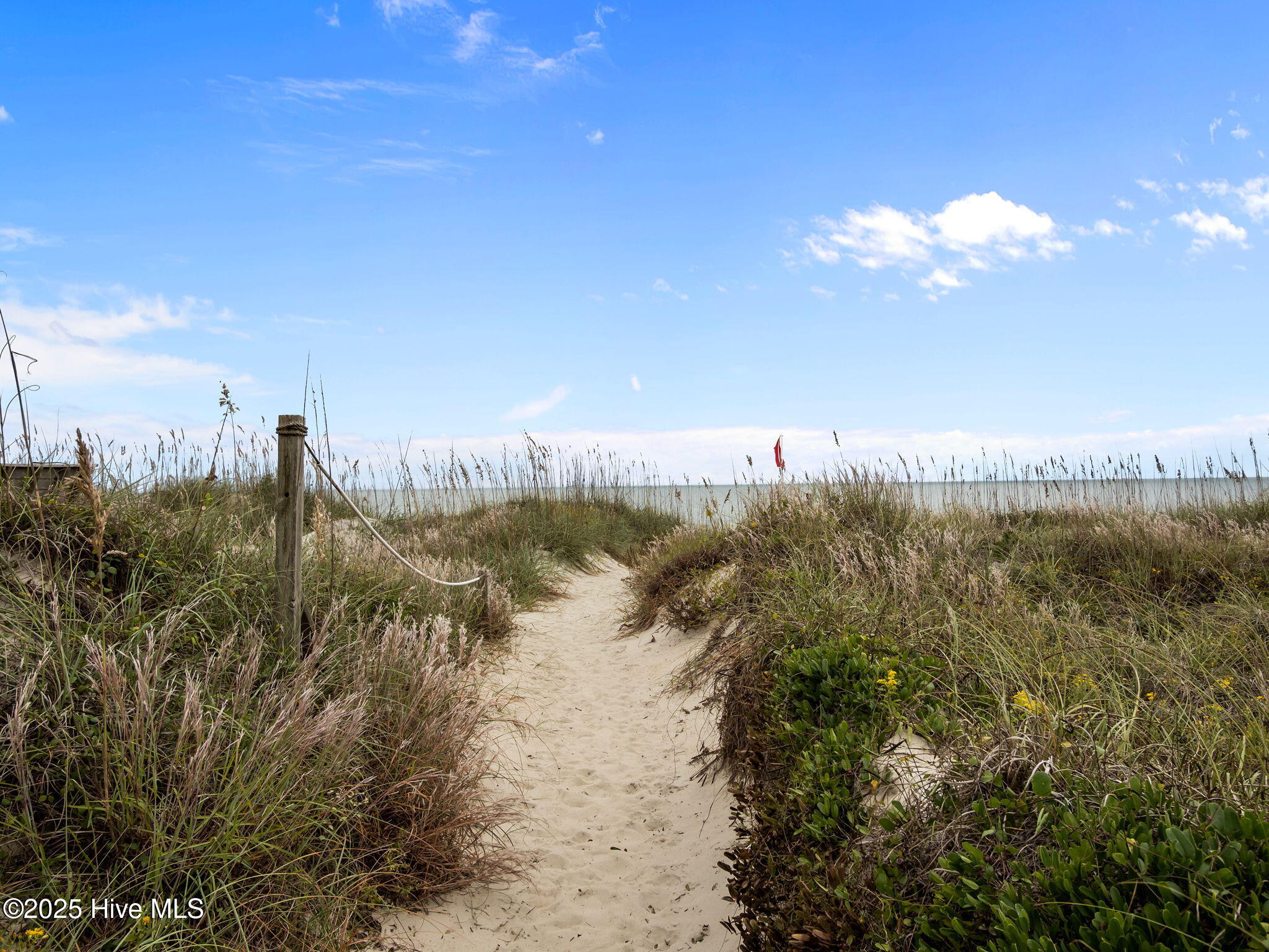 100536740 | Photo 39