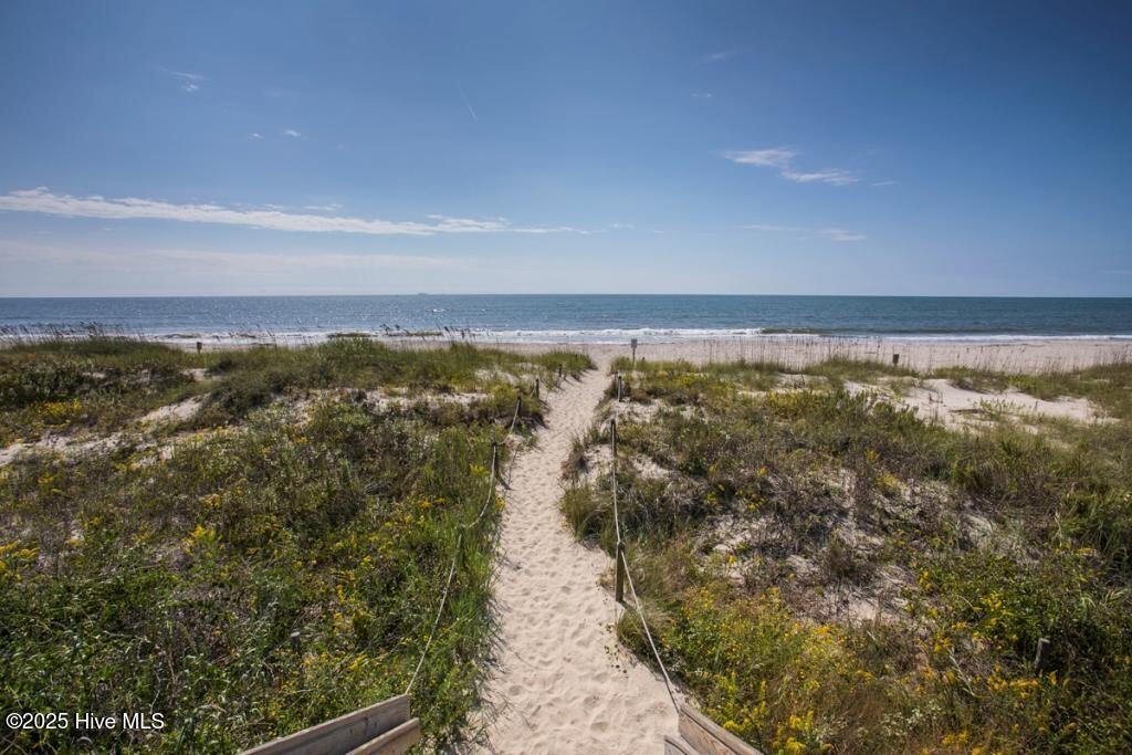 100546461 | Photo 54