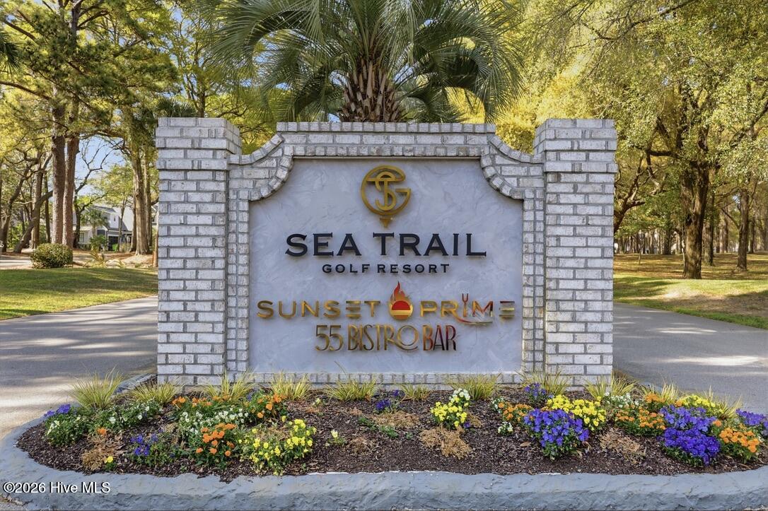 100566184 | Photo 31