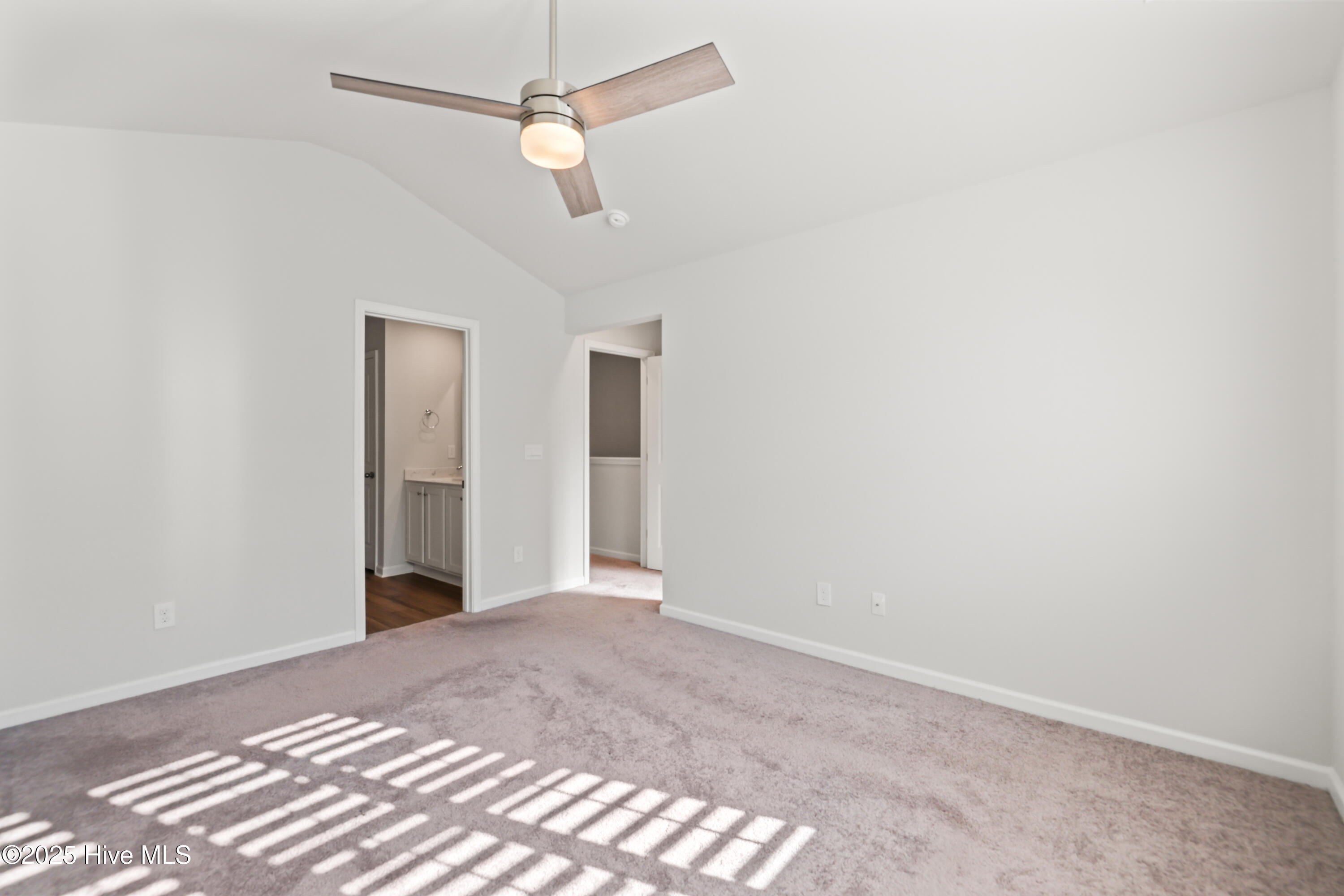 100546543 | Photo 19