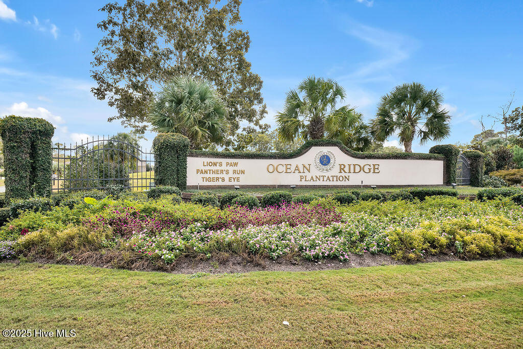 100535984 | Photo 152