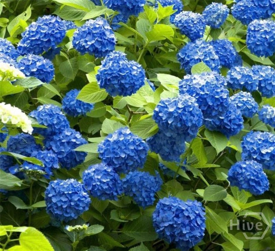 1071 Waterford Court, Watkinsville, GA, 30677