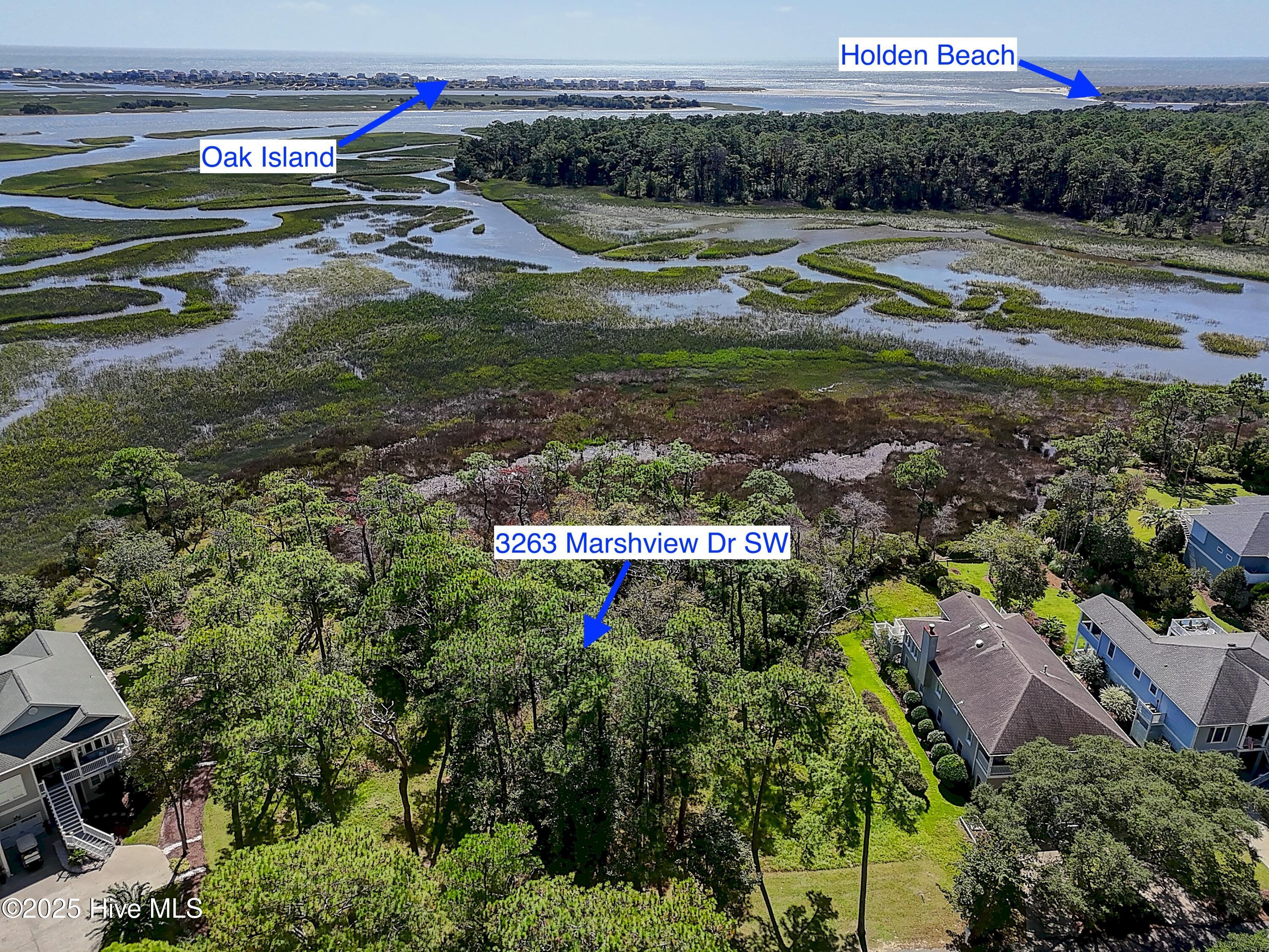 100533806 | Photo 19