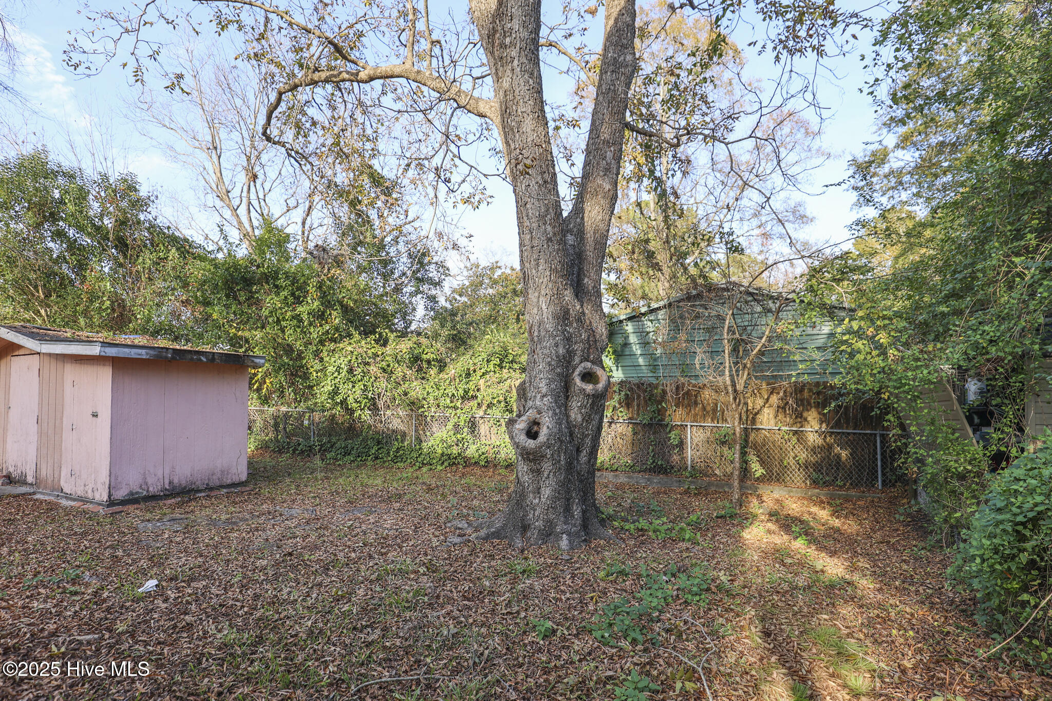 100542091 | Photo 40