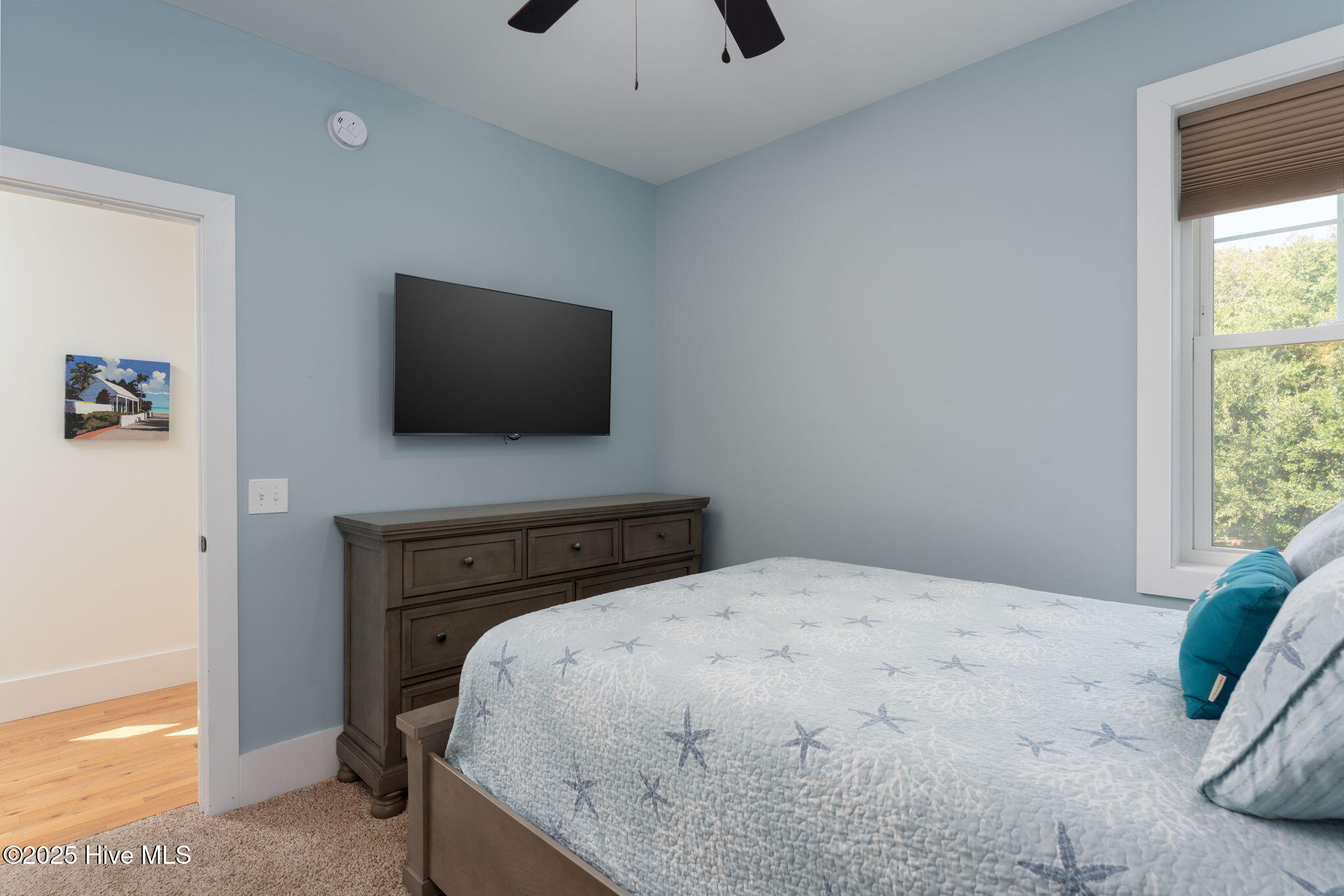 100537095 | Photo 44