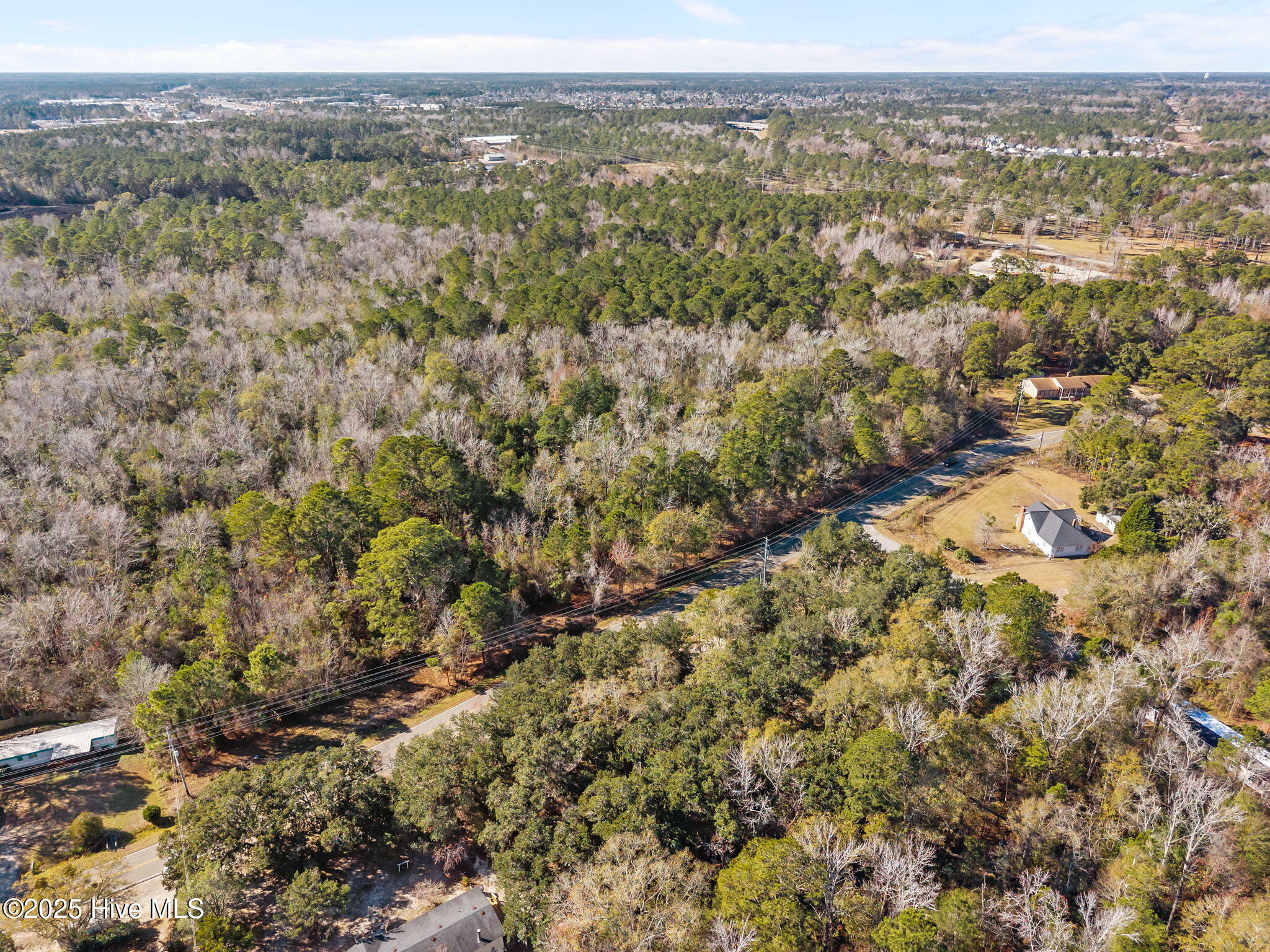 100545203 | Photo 10